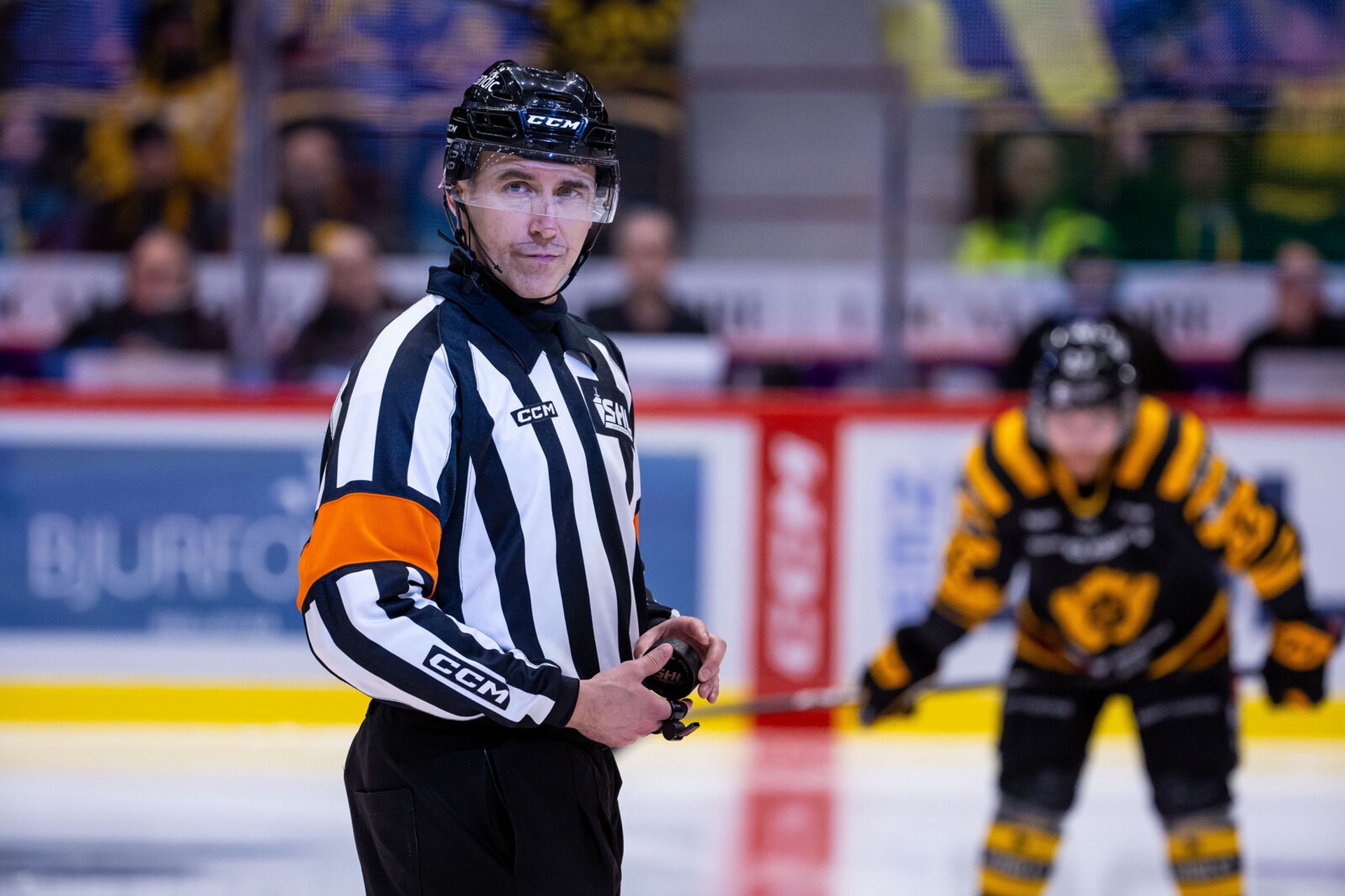 All SHL Referees Become Full-Time