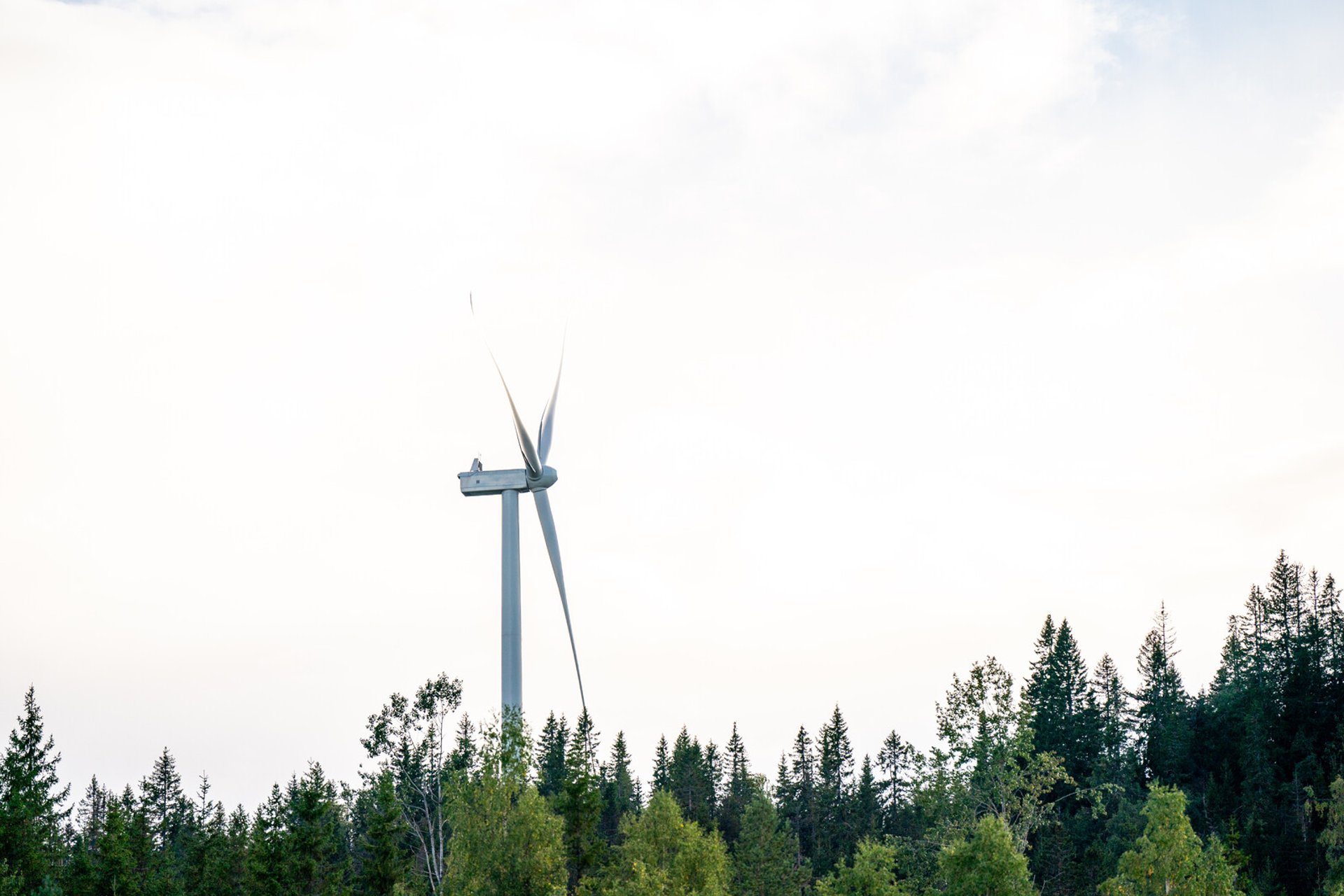 Wind Turbine Blaze in Sweden: Flying Debris Sparks Safety Concerns