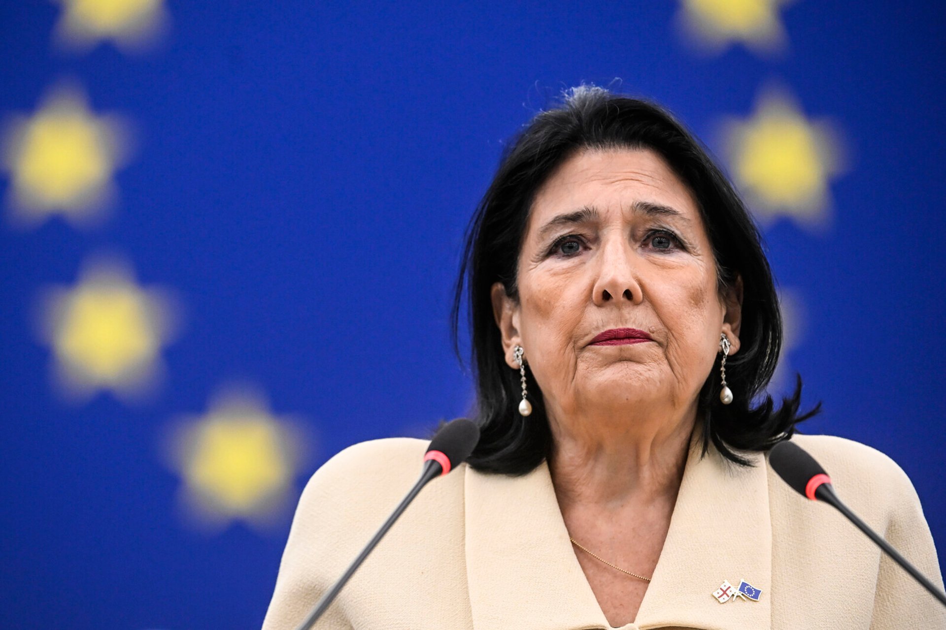 Georgia's President Challenges EU: Apply Pressure Now