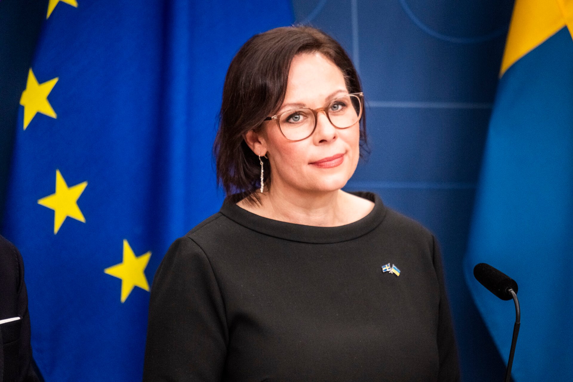 Foreign Minister: Sweden Supports the