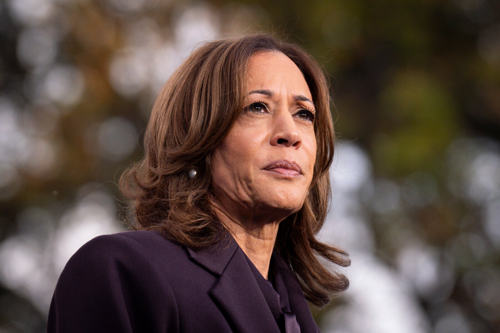 These are the voter groups that rejected Harris