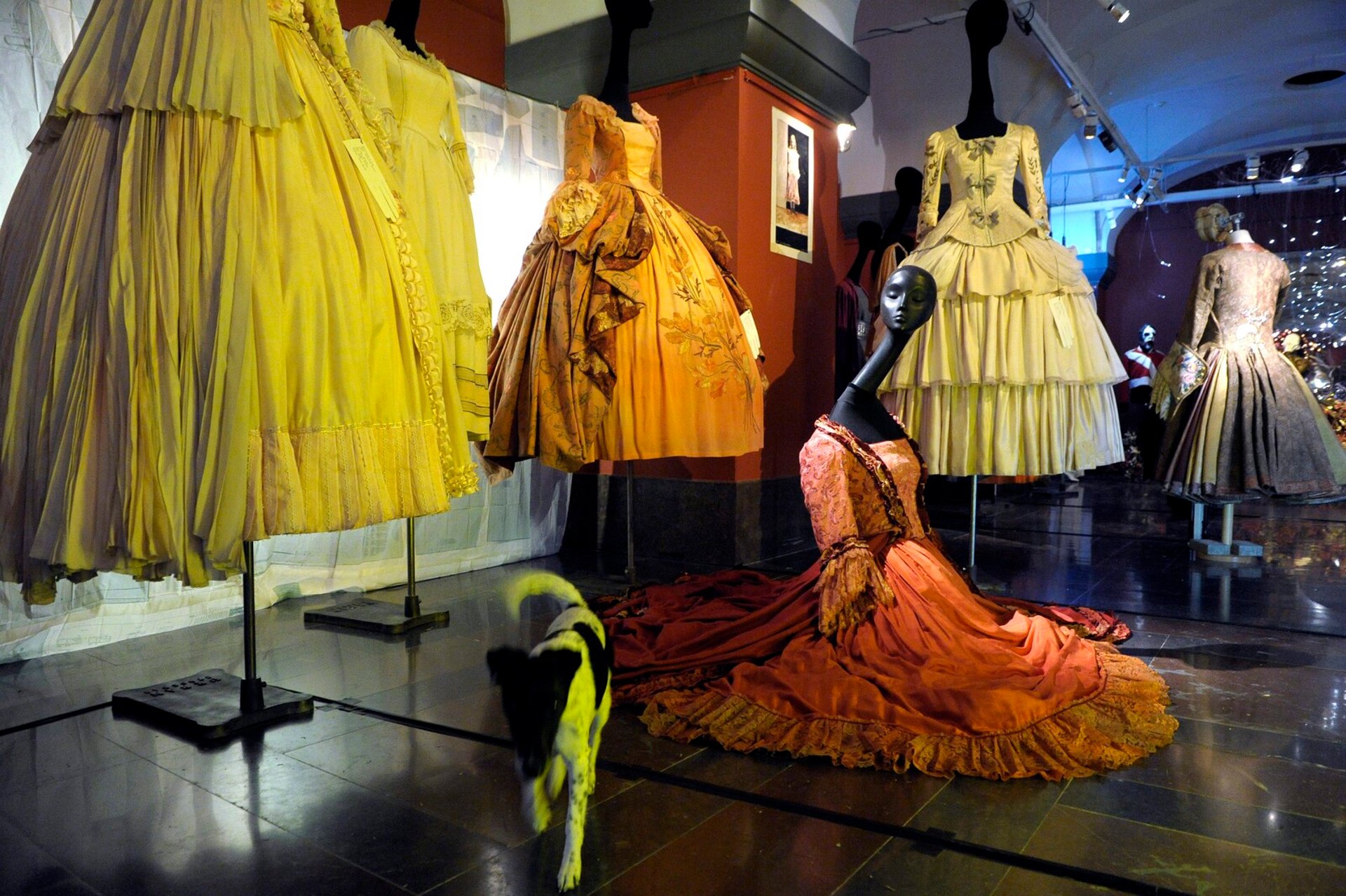 The Dance Museum invites politicians