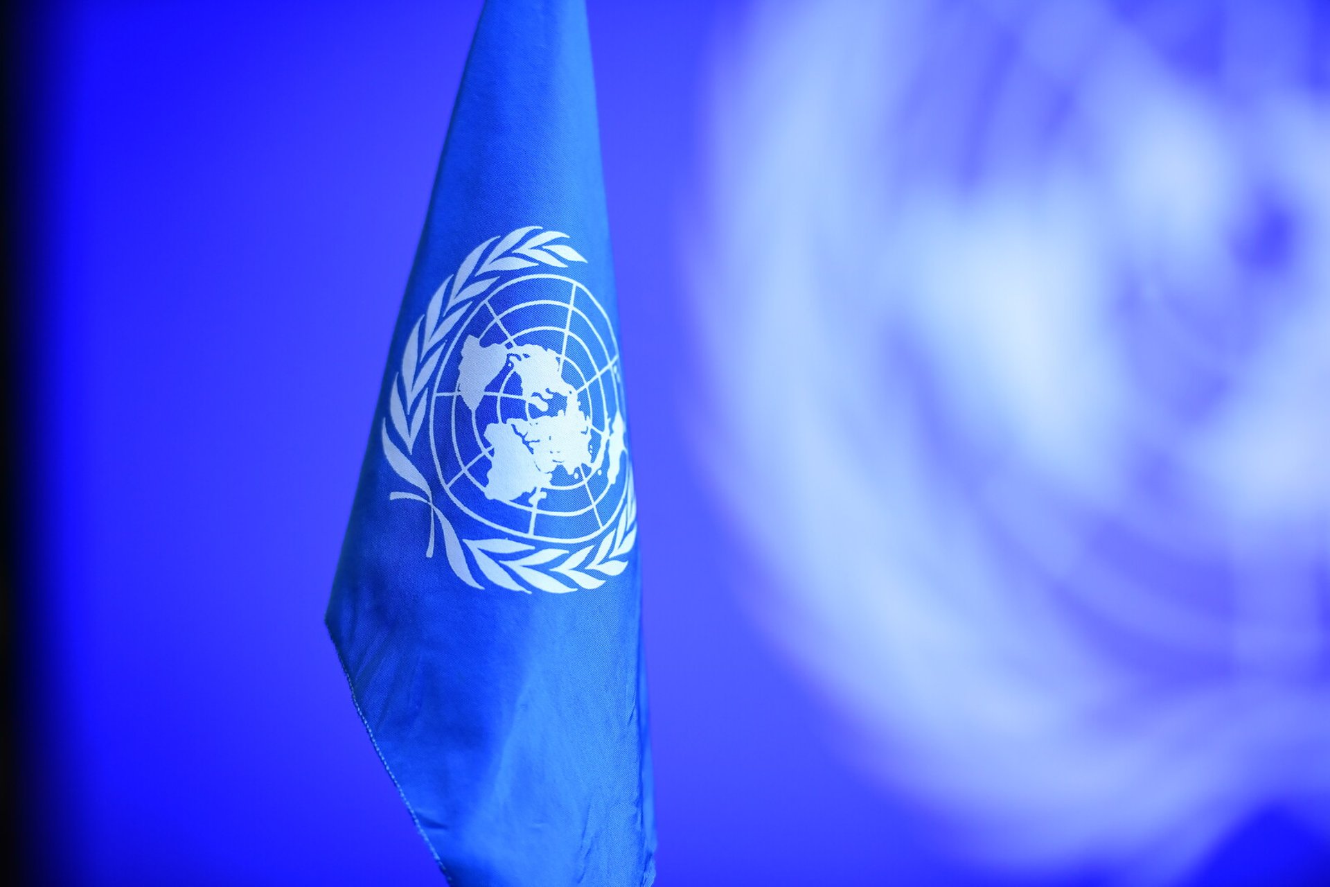 Elinor Hammarskjöld in a high post at the UN