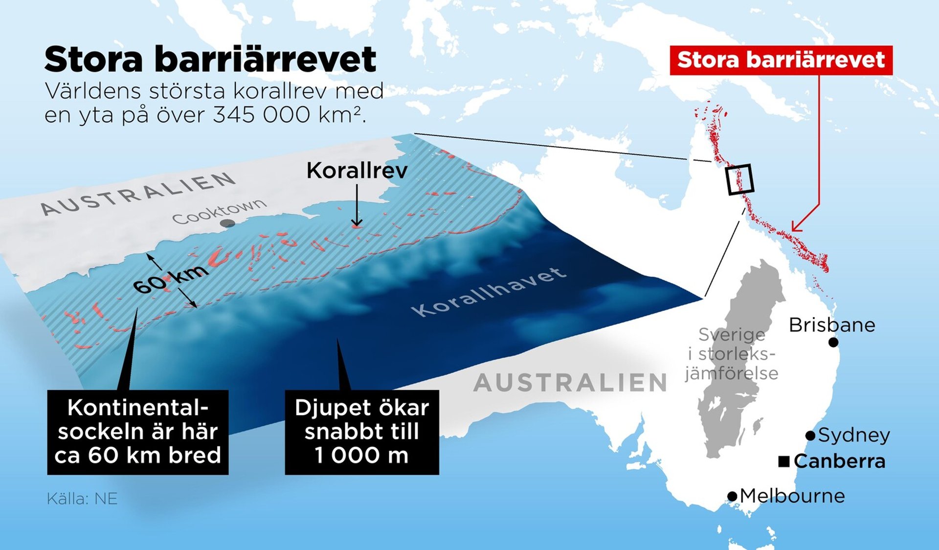 New discoveries: How the Great Barrier Reef was formed