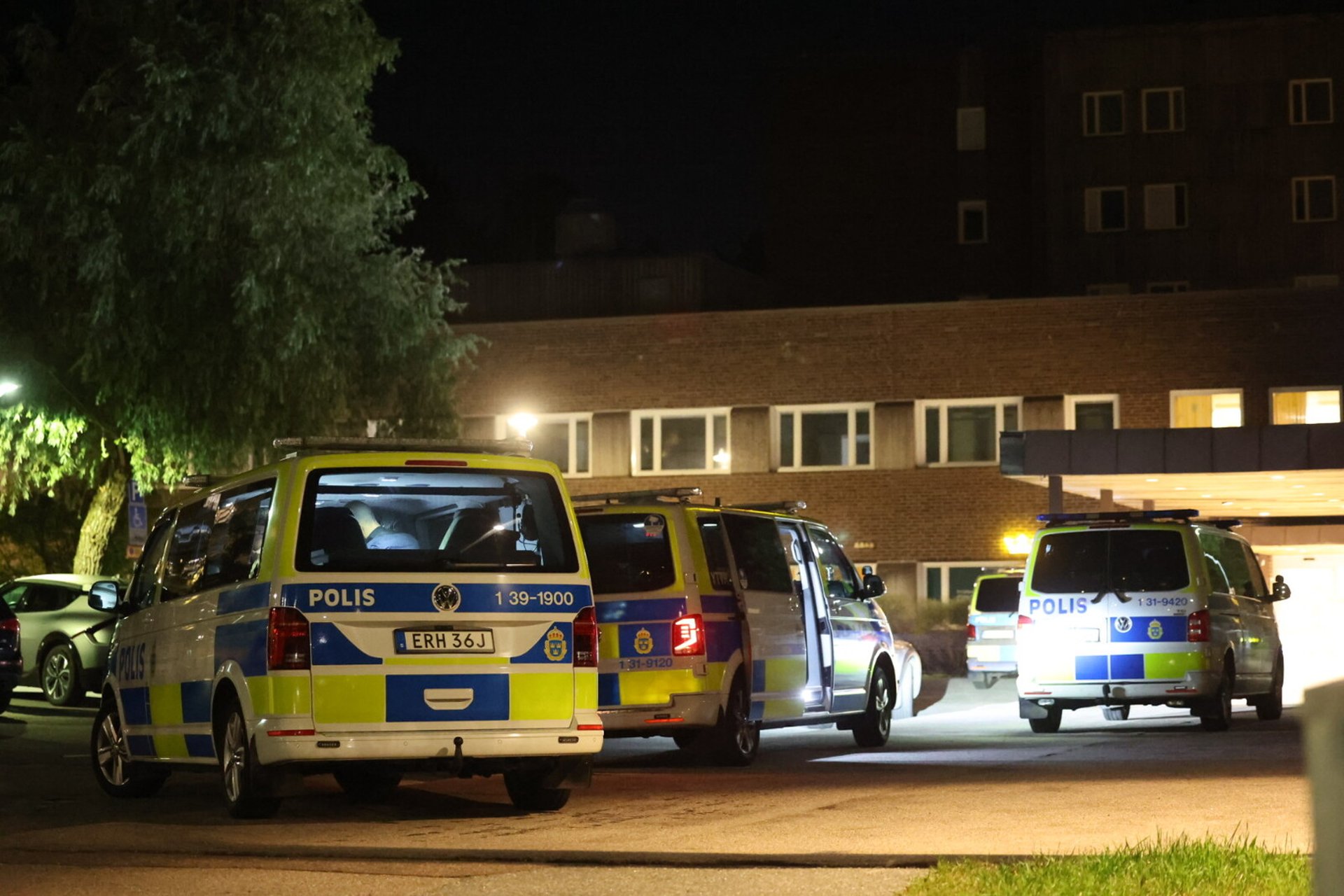 Suspected Murder at Party – Three Detained