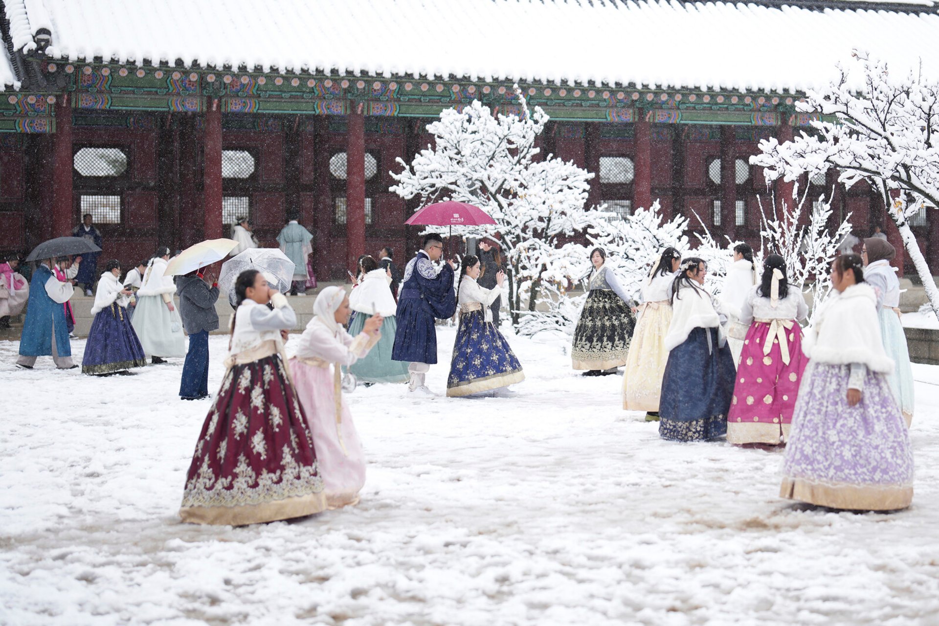 Snowstorm in South Korea – worst in half a century