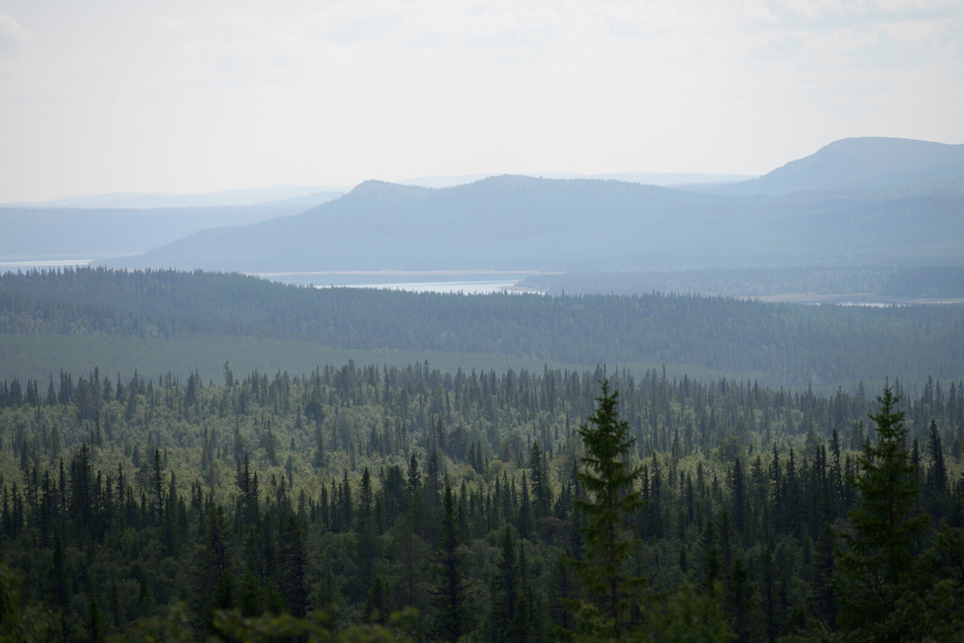 Windy on the Mountain Plateau