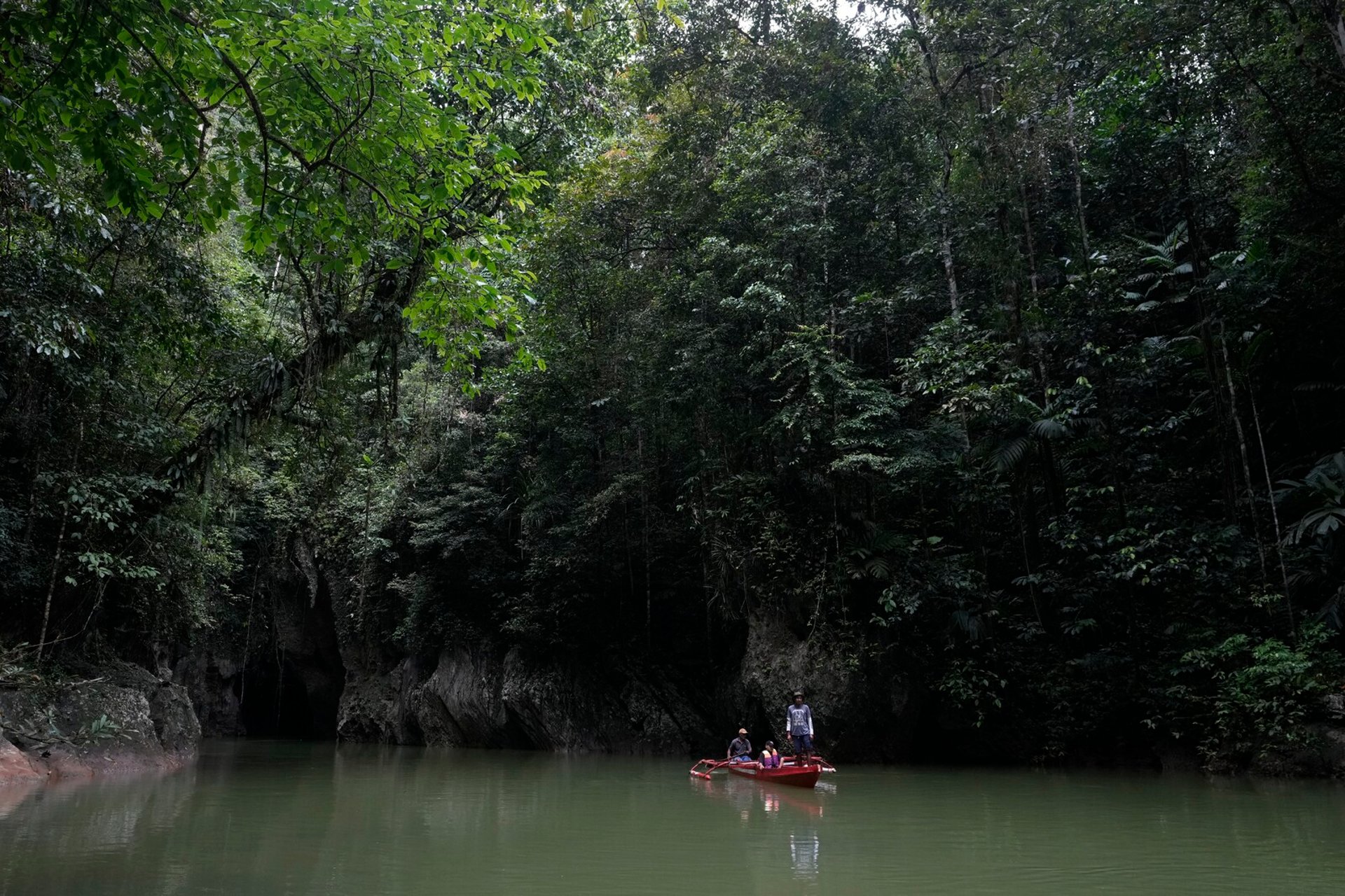 EU clearance for postponed rainforest law