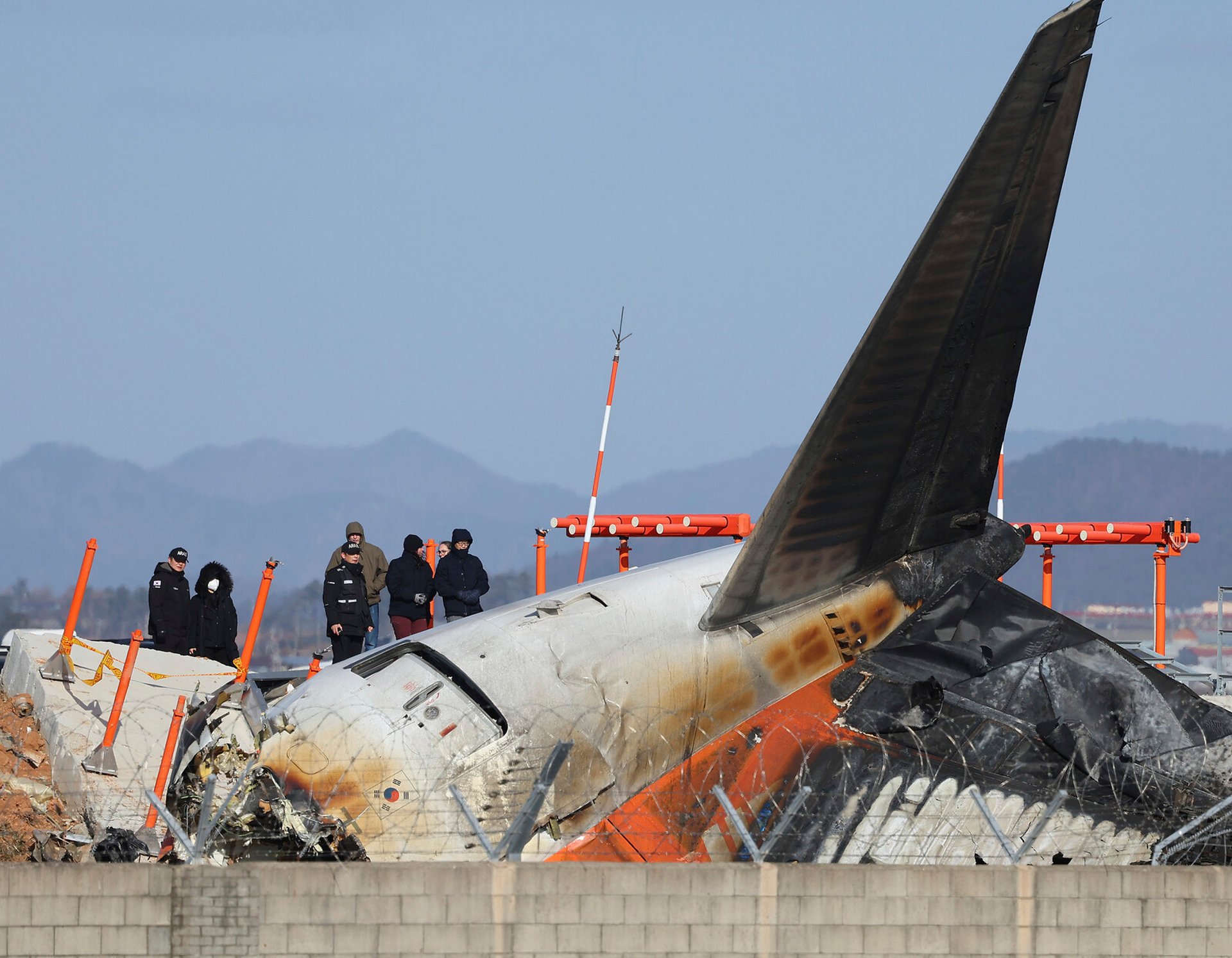 Feathers and blood in the accident plane's engines