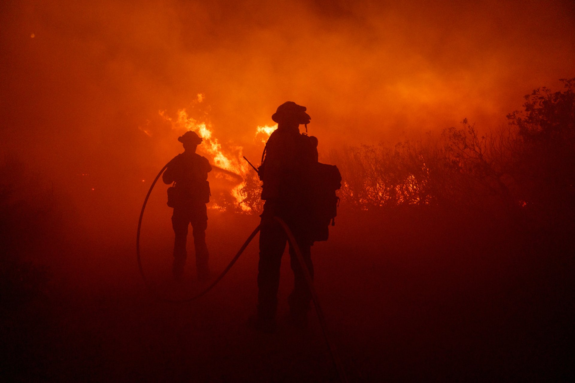 Extreme forest fires are becoming more frequent and severe