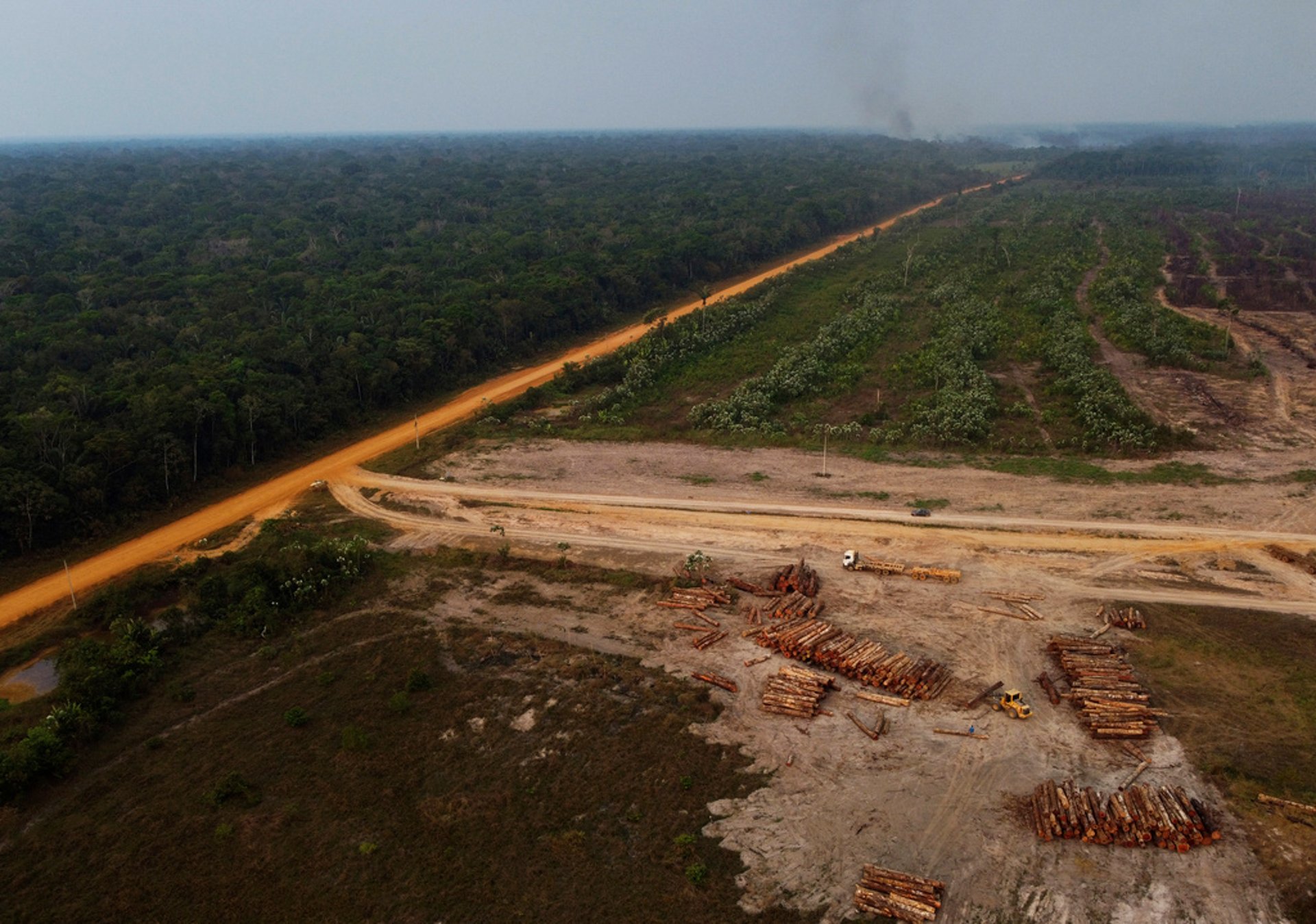 Drying behind increased deforestation in Amazon