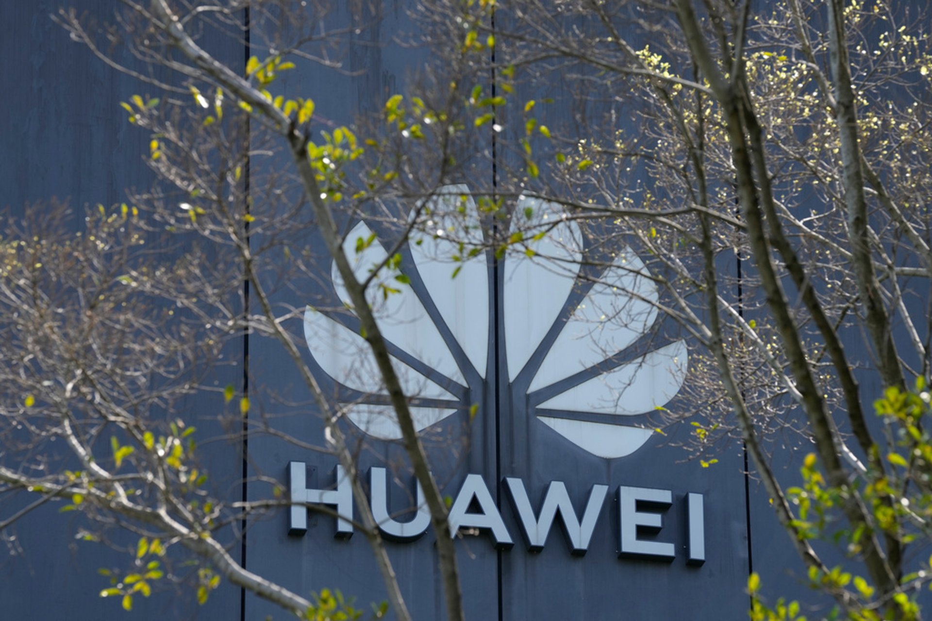 Germany stops Huawei