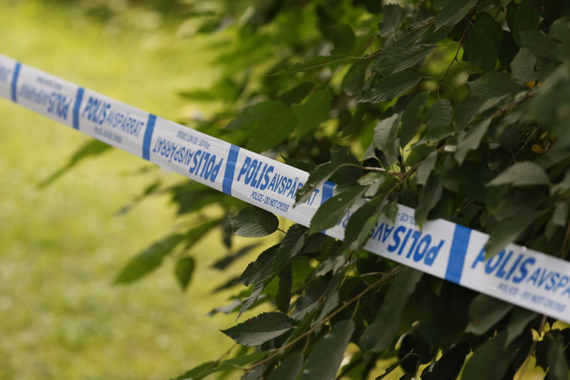 Skeleton parts found in Borlänge