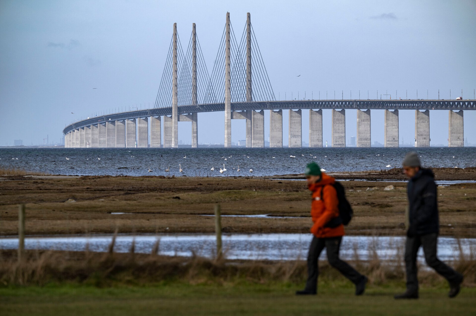 Öresund Bridge closed after accident