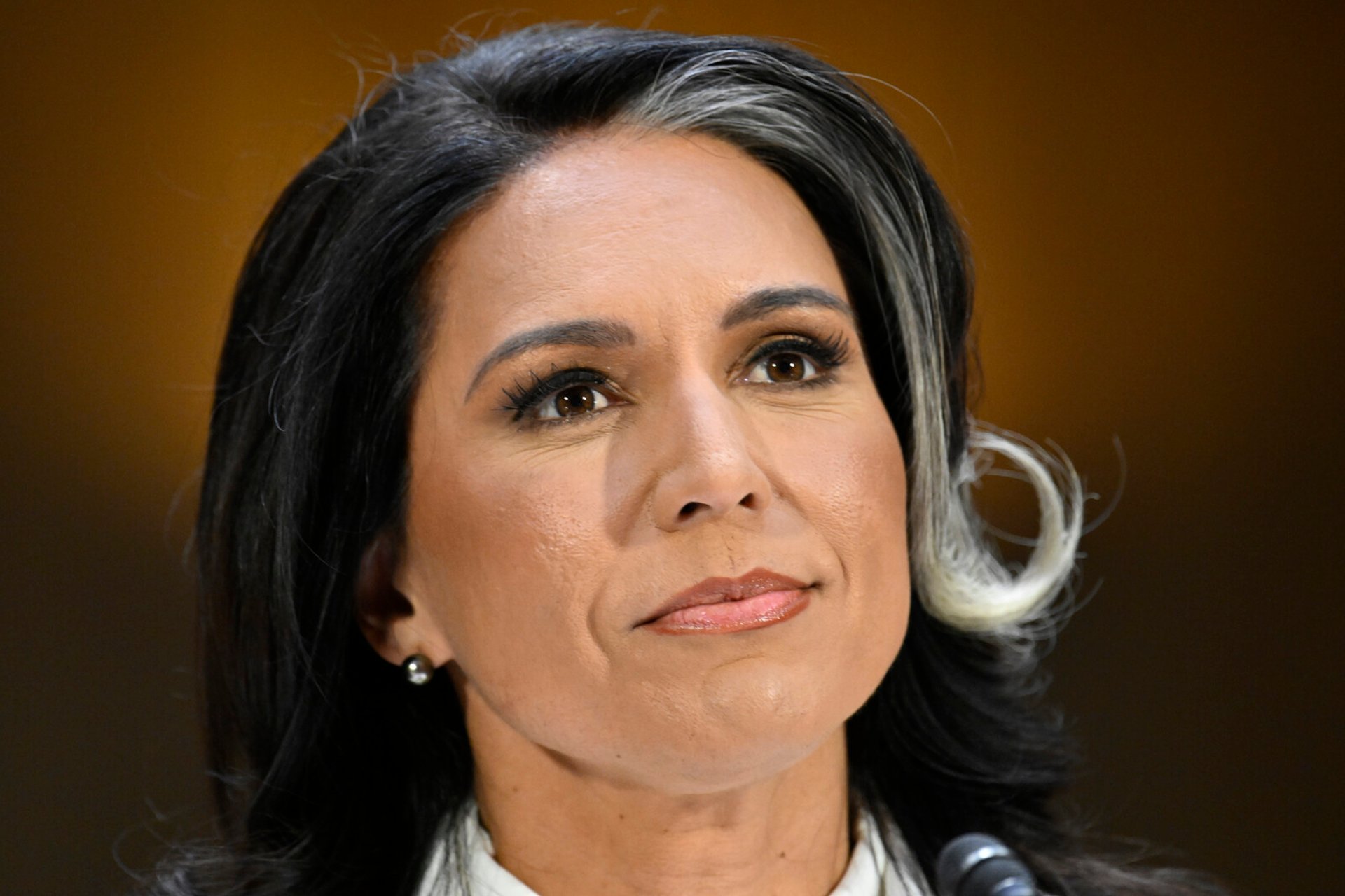 Tulsi Gabbard Appointed as National Security Adviser