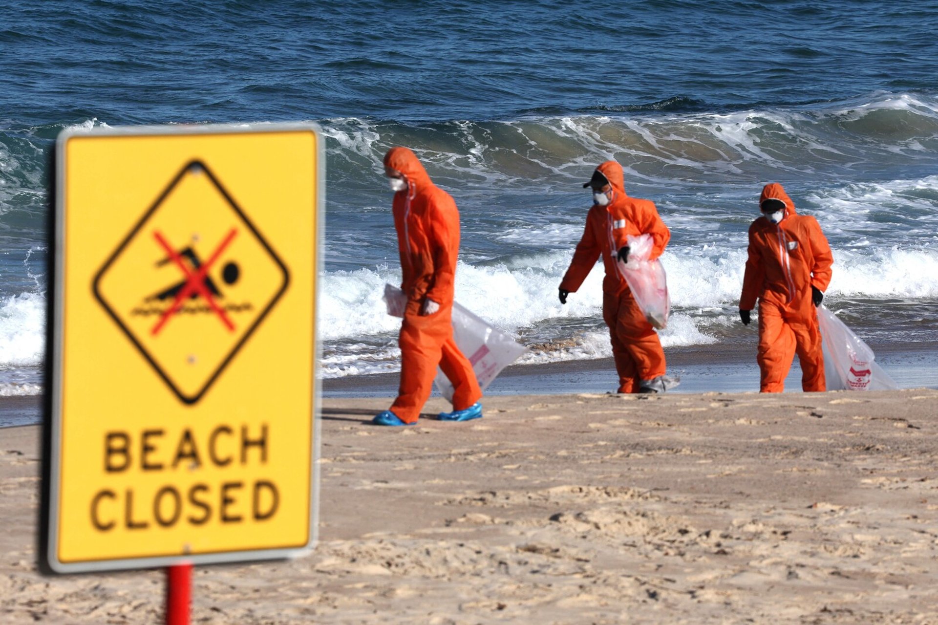 The Mystery on Sydney's Beaches Solved: "Disgusting"