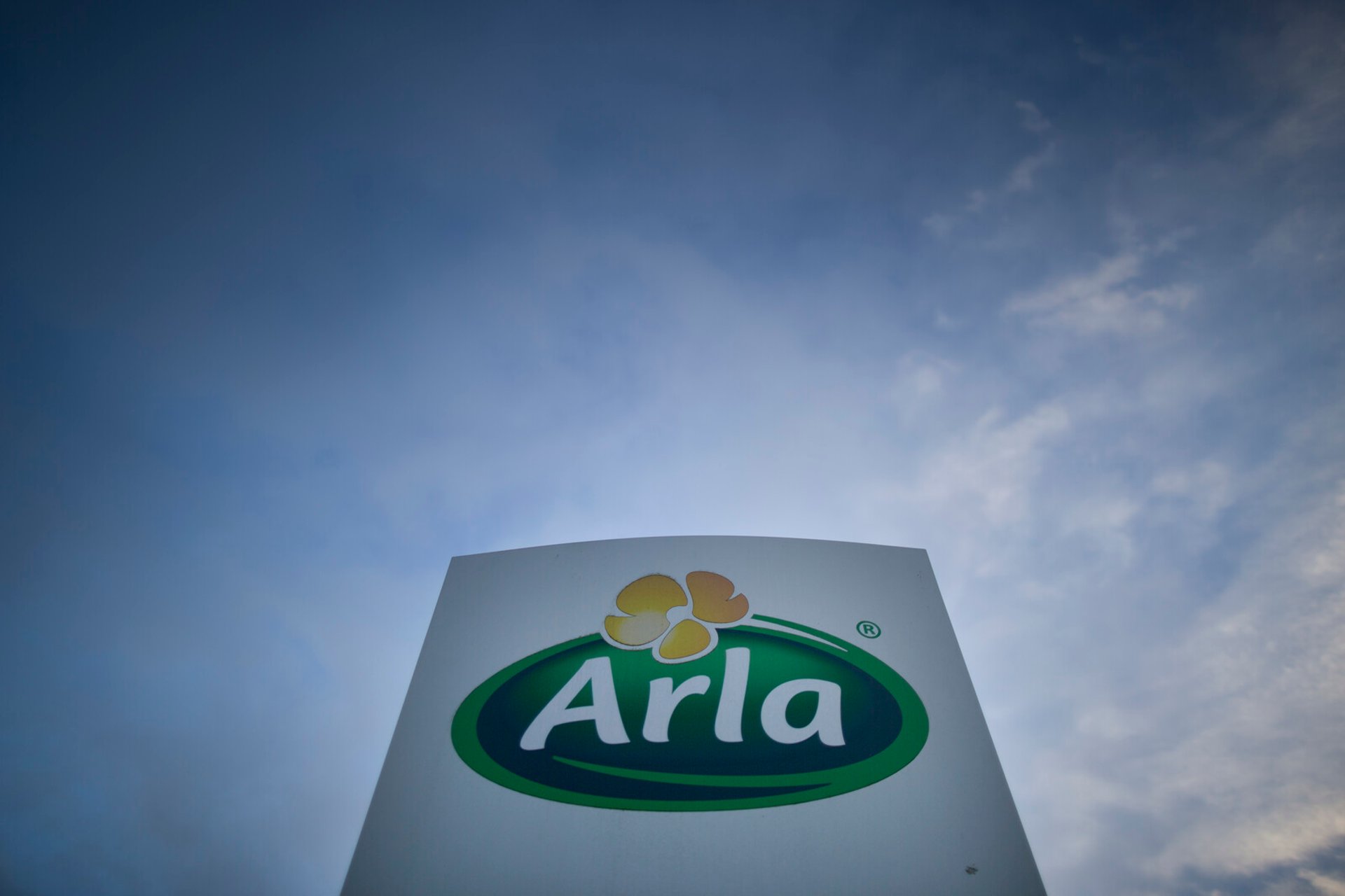 Arla wants to buy Egyptian dairy giant