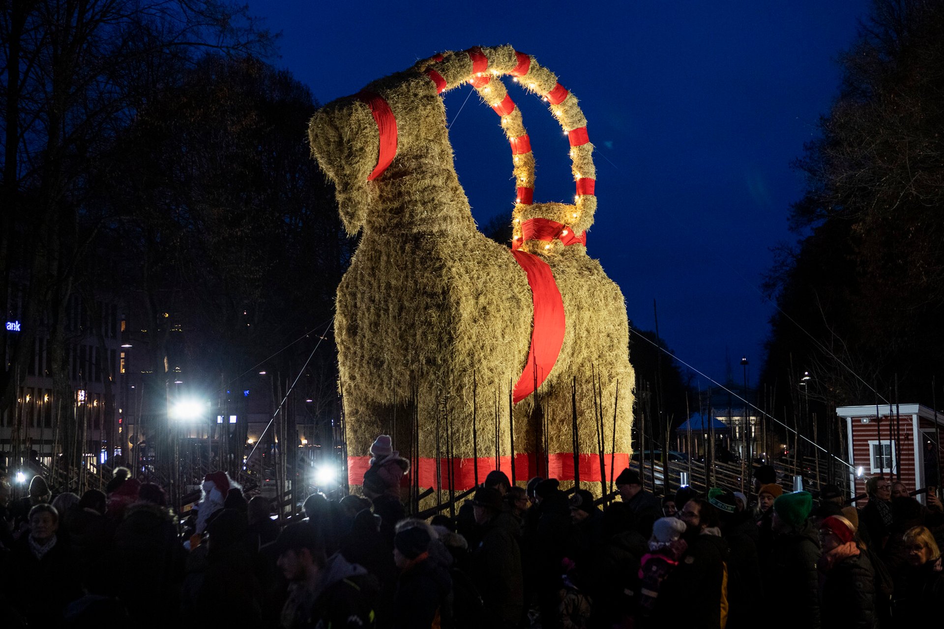 The Gävle Goat Ready for