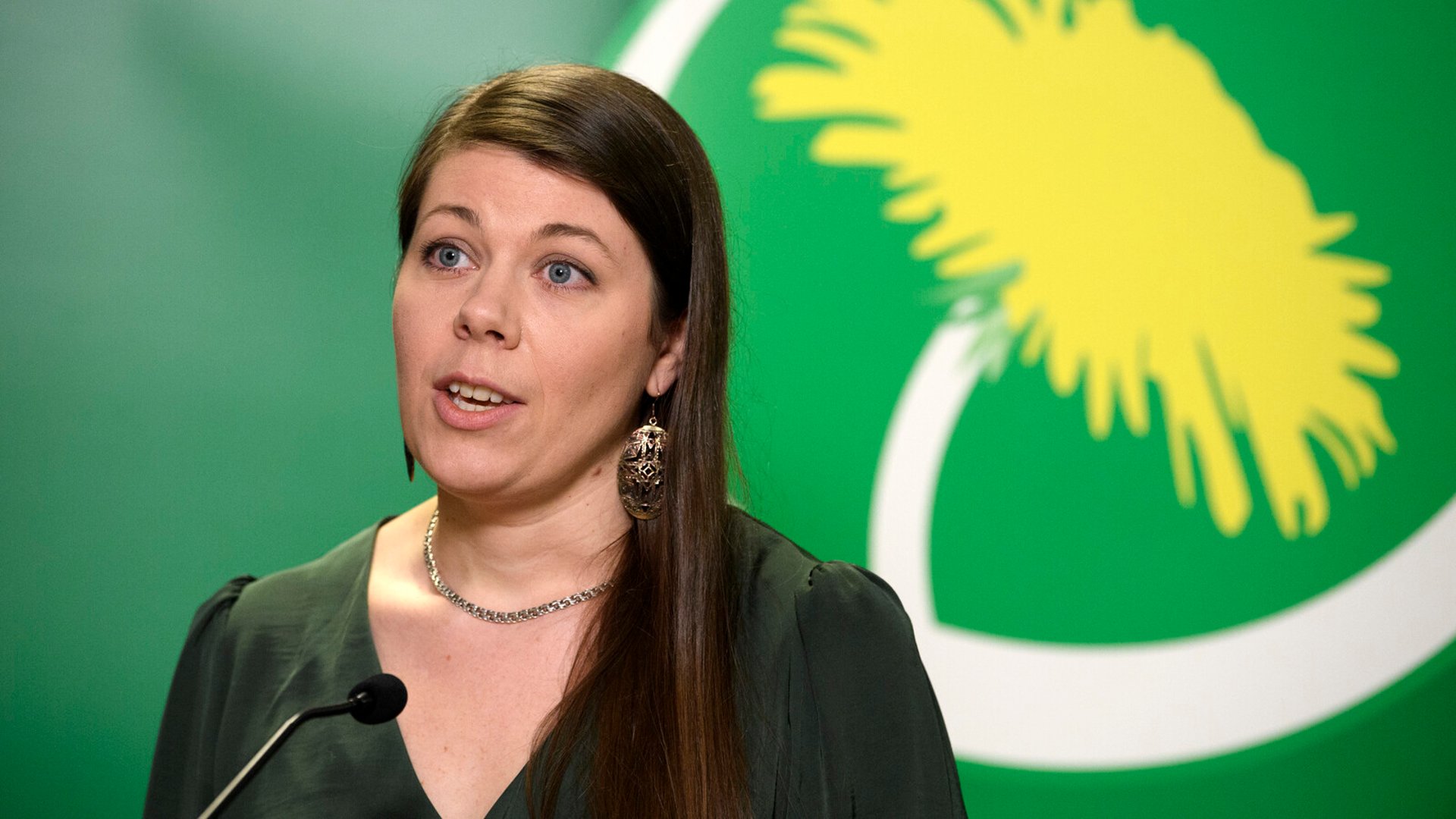 Green Party top politician resigns – behaved "inappropriately" at party