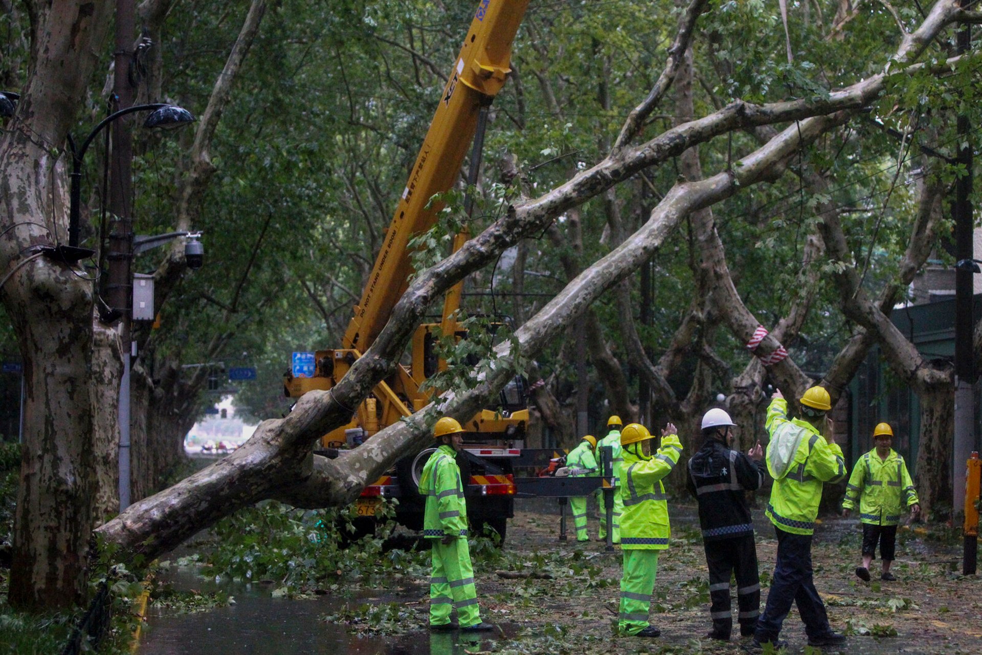 New storm hits Shanghai after giant typhoon