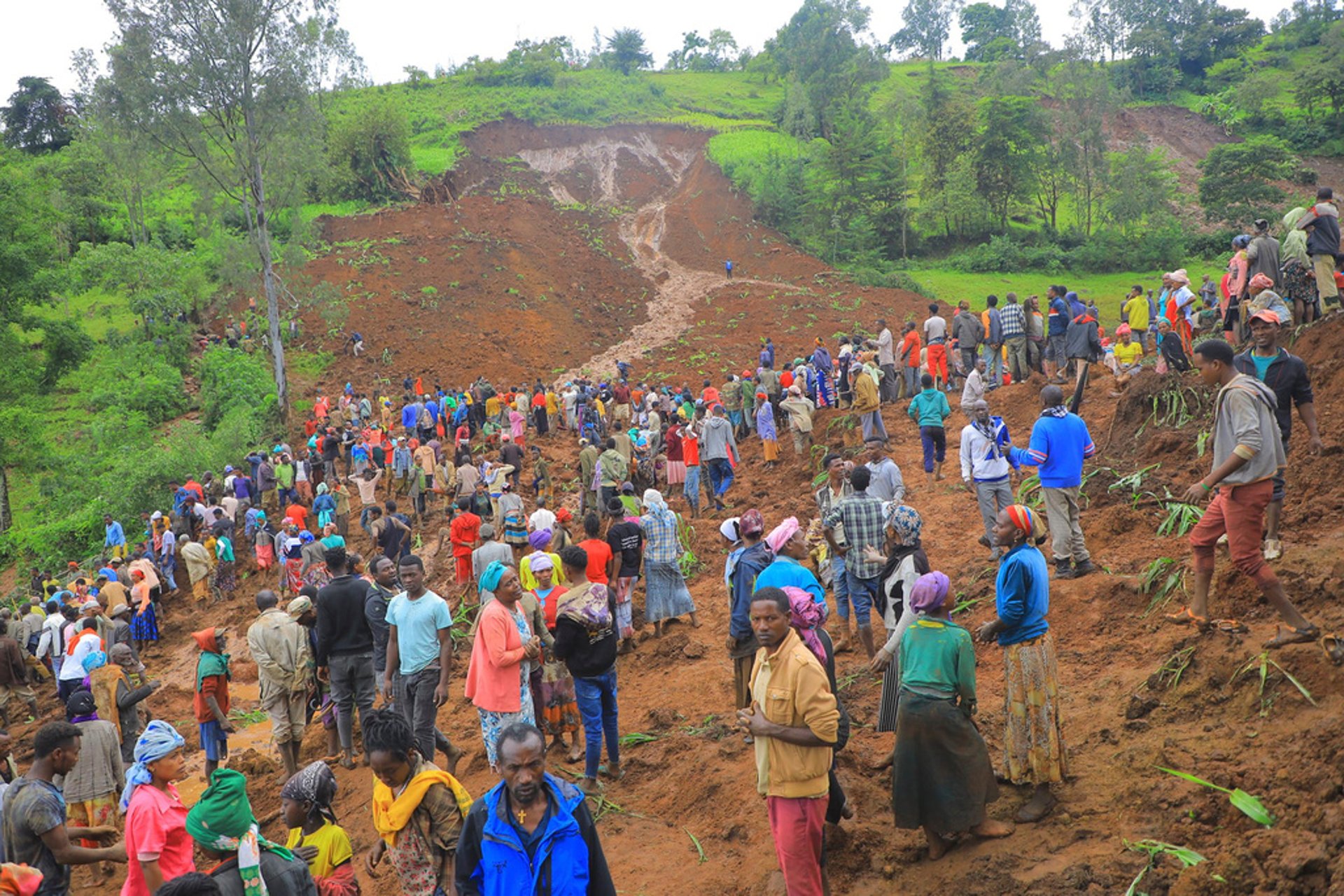 500 feared dead in landslide in Ethiopia