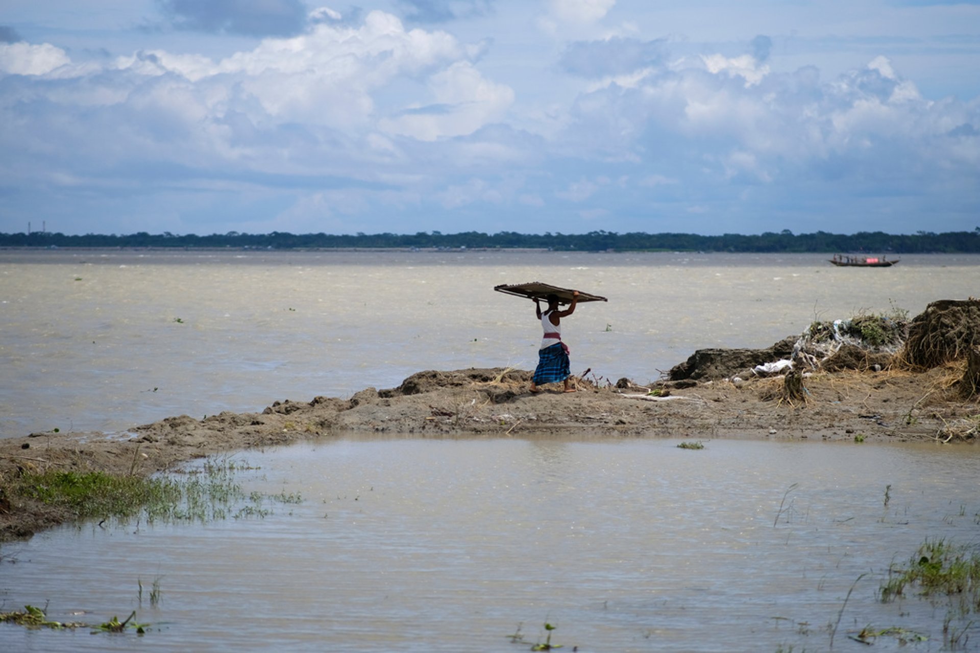 Panic in Bangladesh – deadly viper on the loose