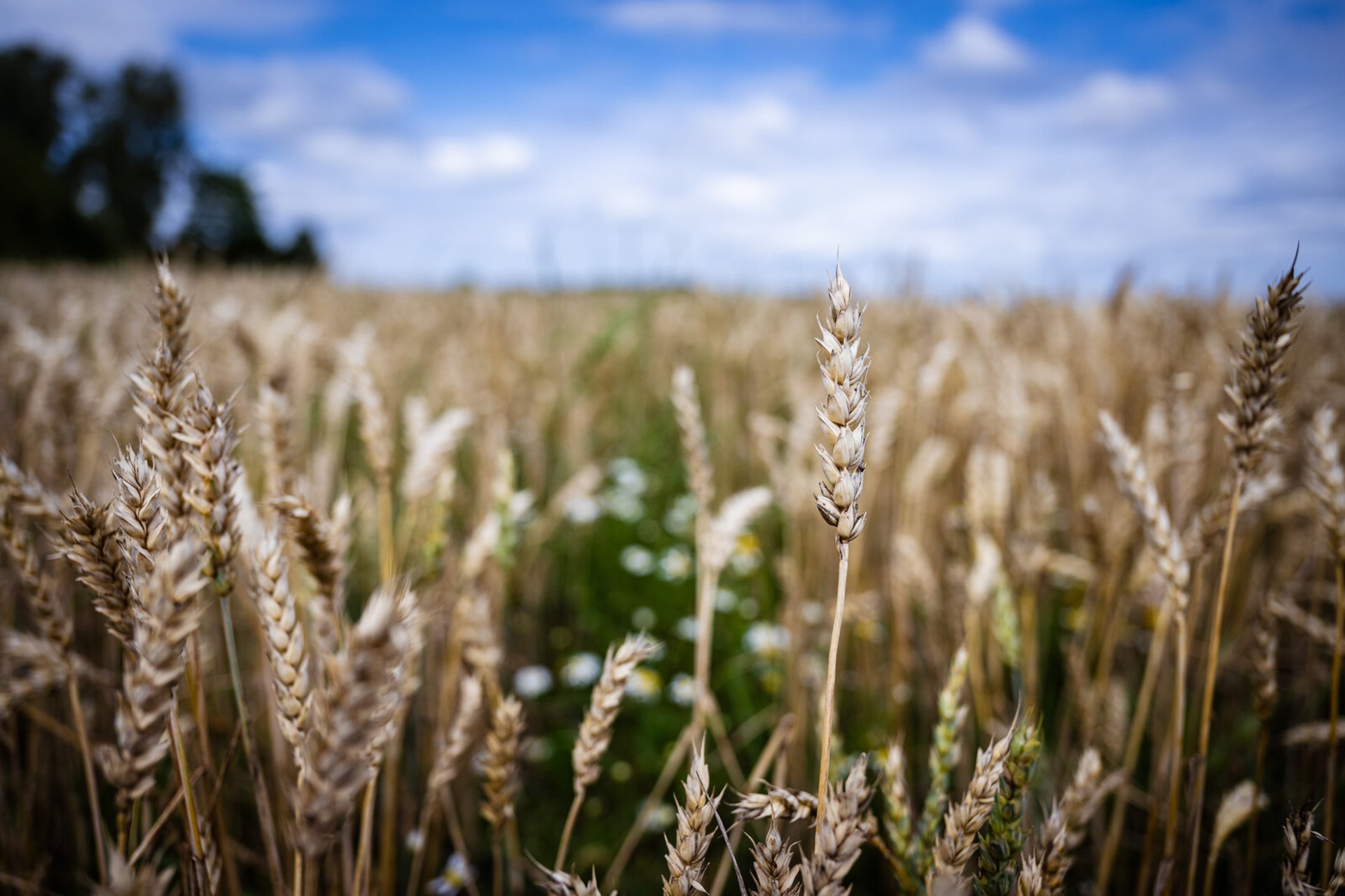 Farmer-owned company achieves new top