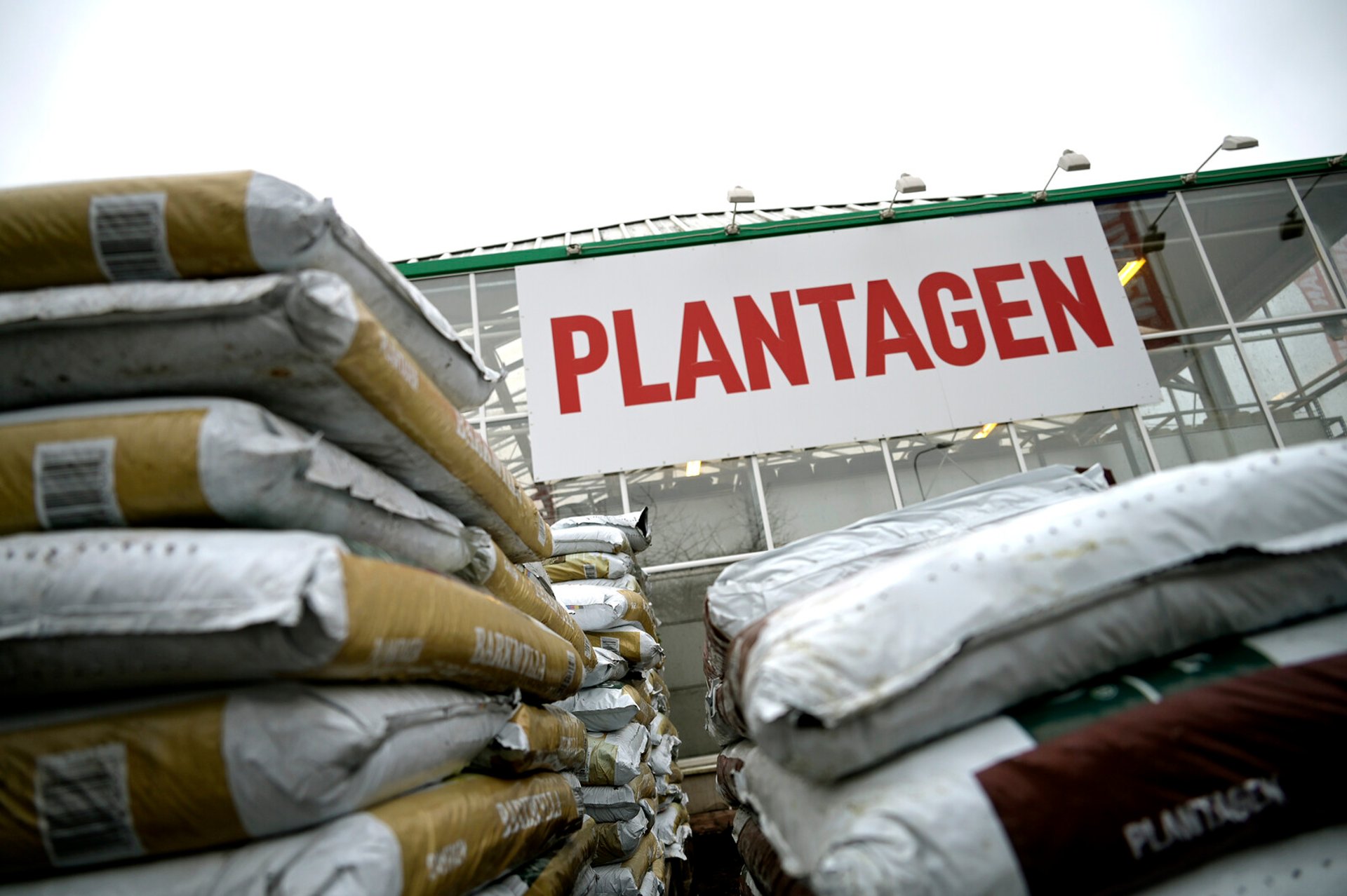 Court Approves Plantagen's Reconstruction