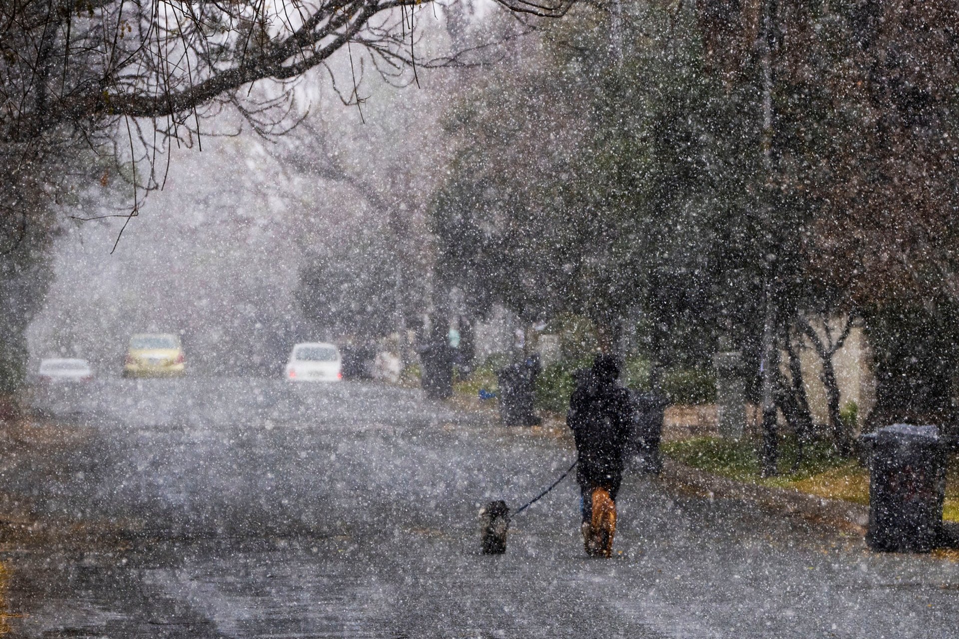 Cars stuck in deadly African snowstorm