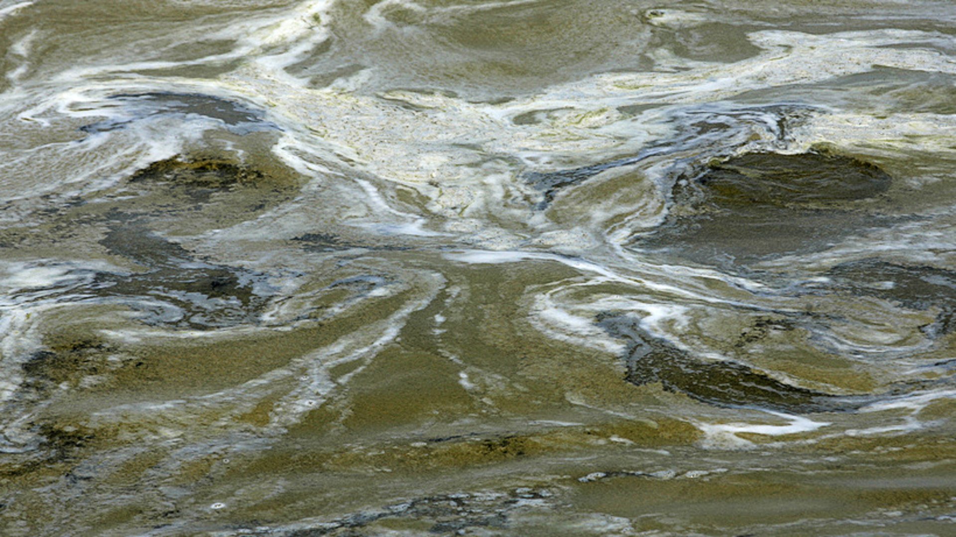 Oil booms to combat algae blooms