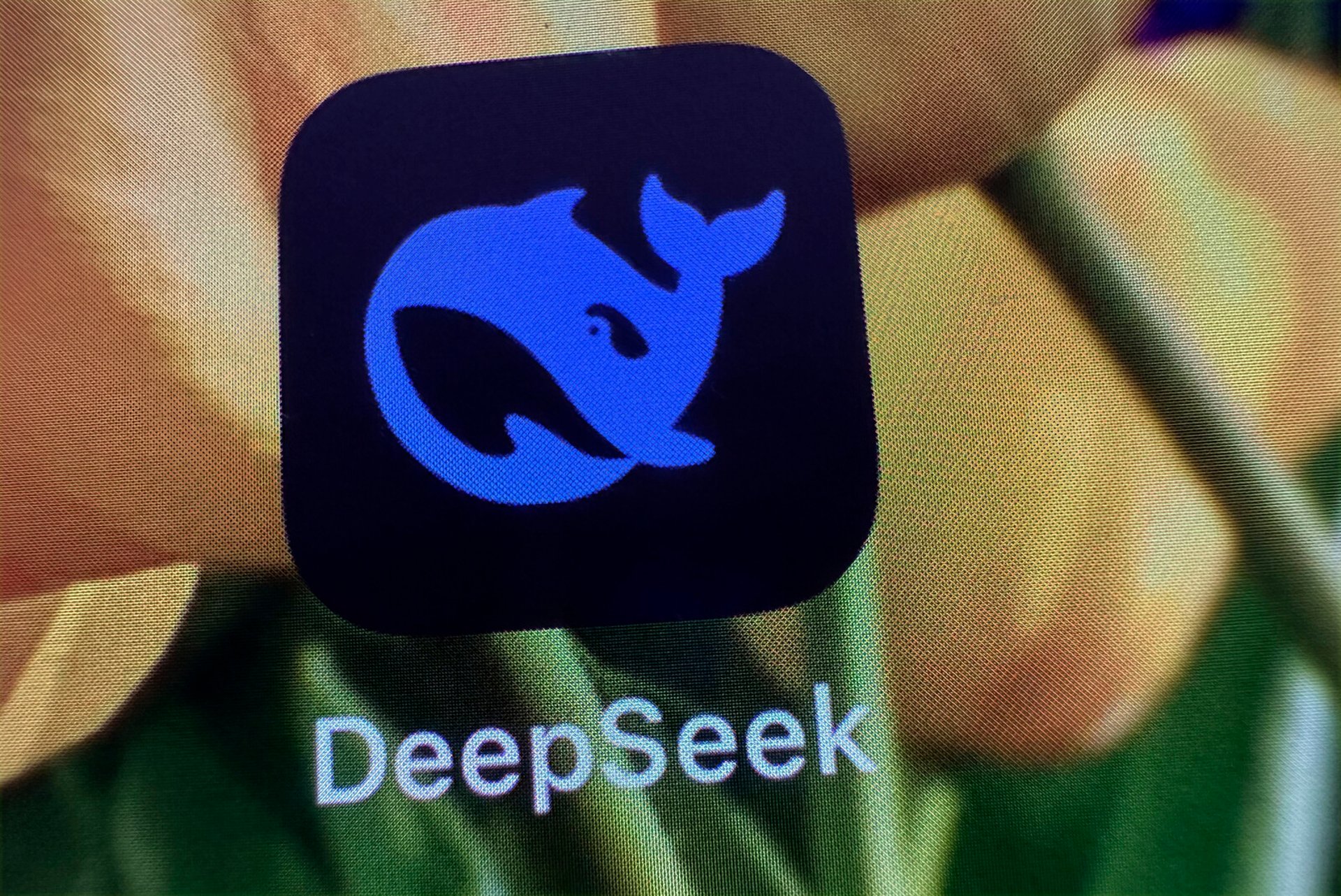 Deepseek launches with new AI bomb – releases image service