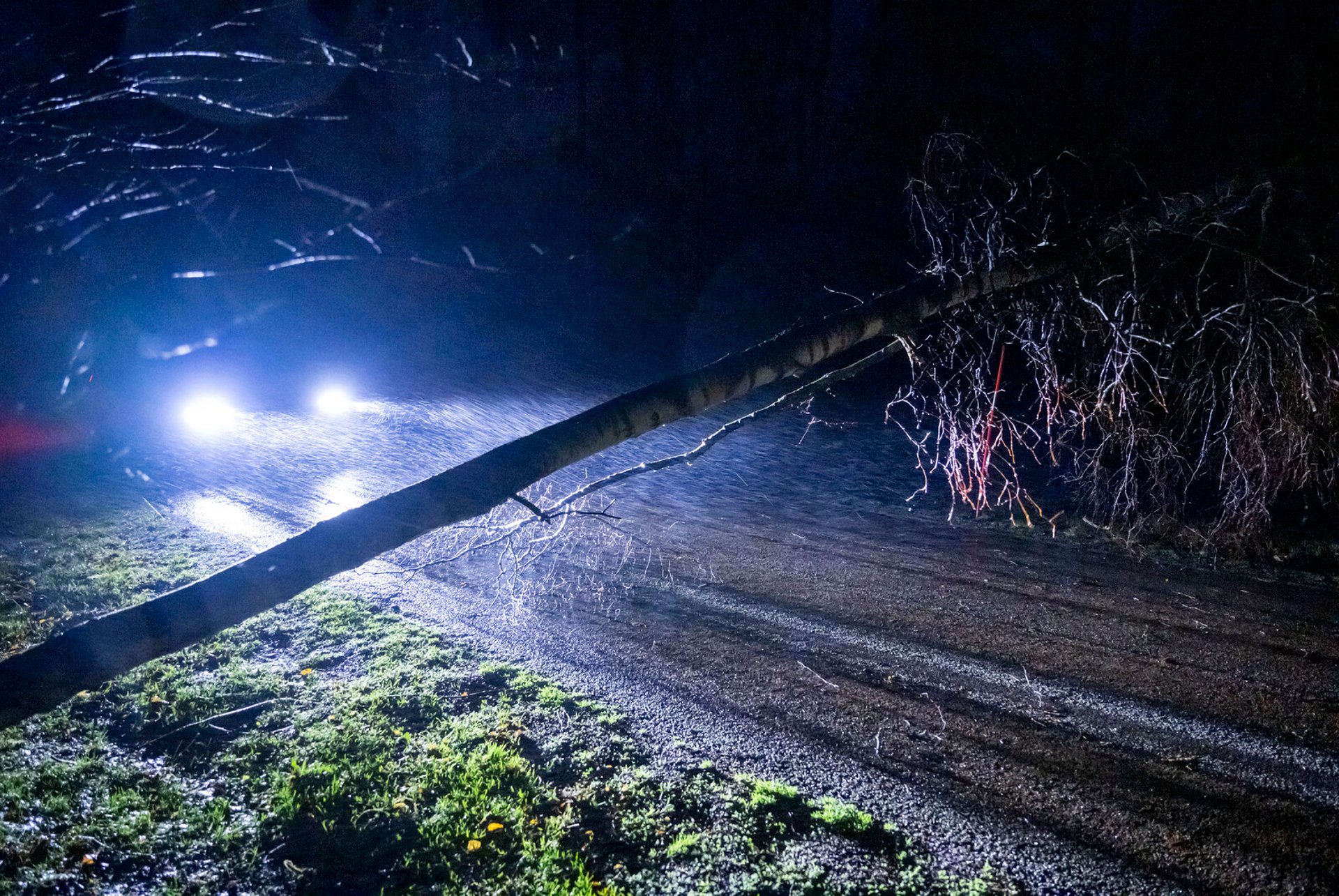 Power outages and fallen trees in the storm