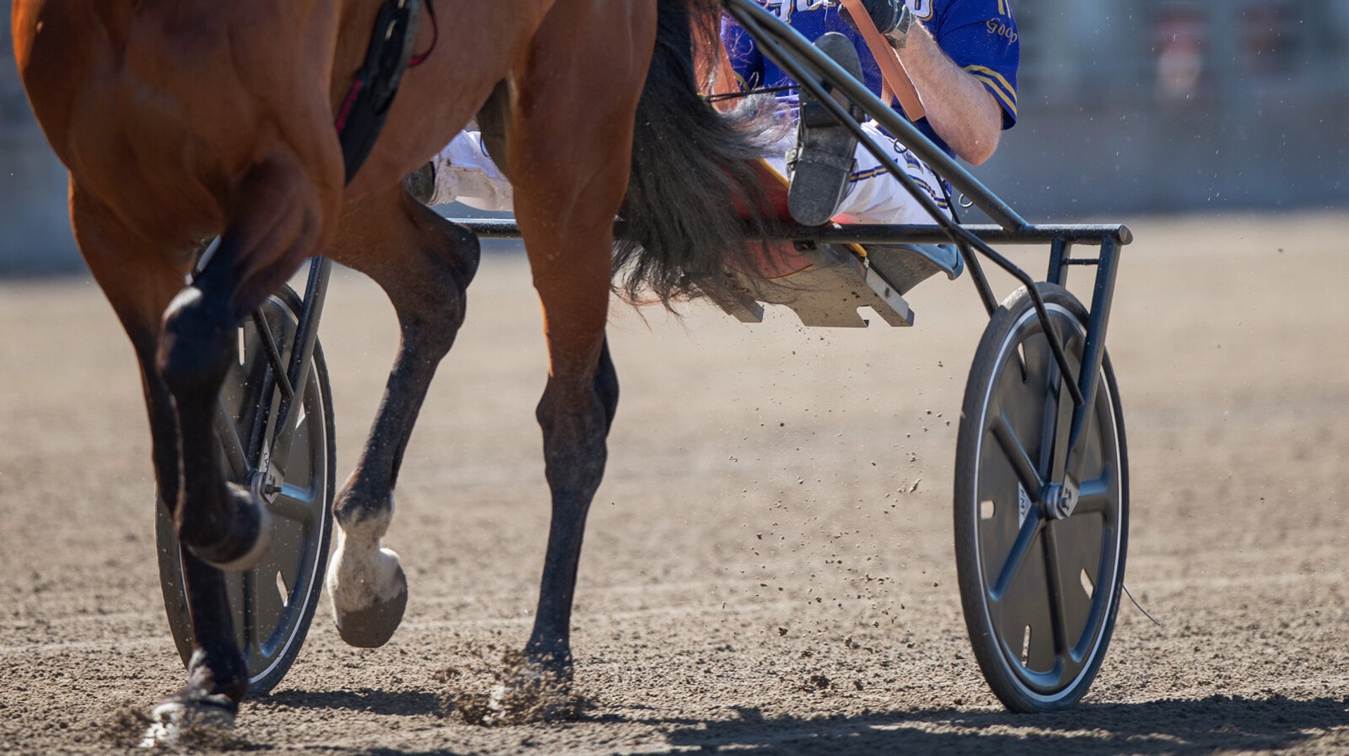 Top Trotting Trainer Sébastien Guarato Banned for Doping Violation