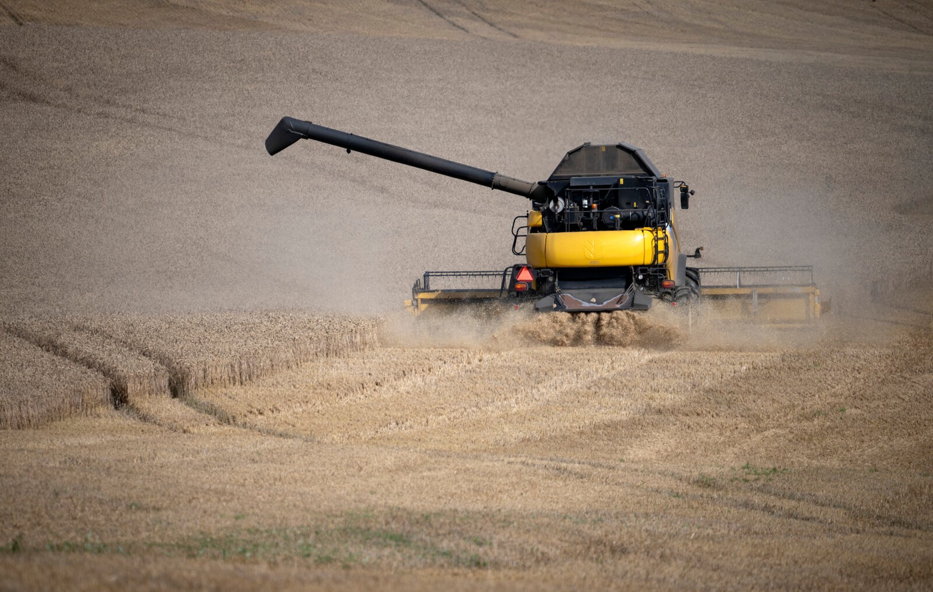 Grain Harvest Increases – But Below Average