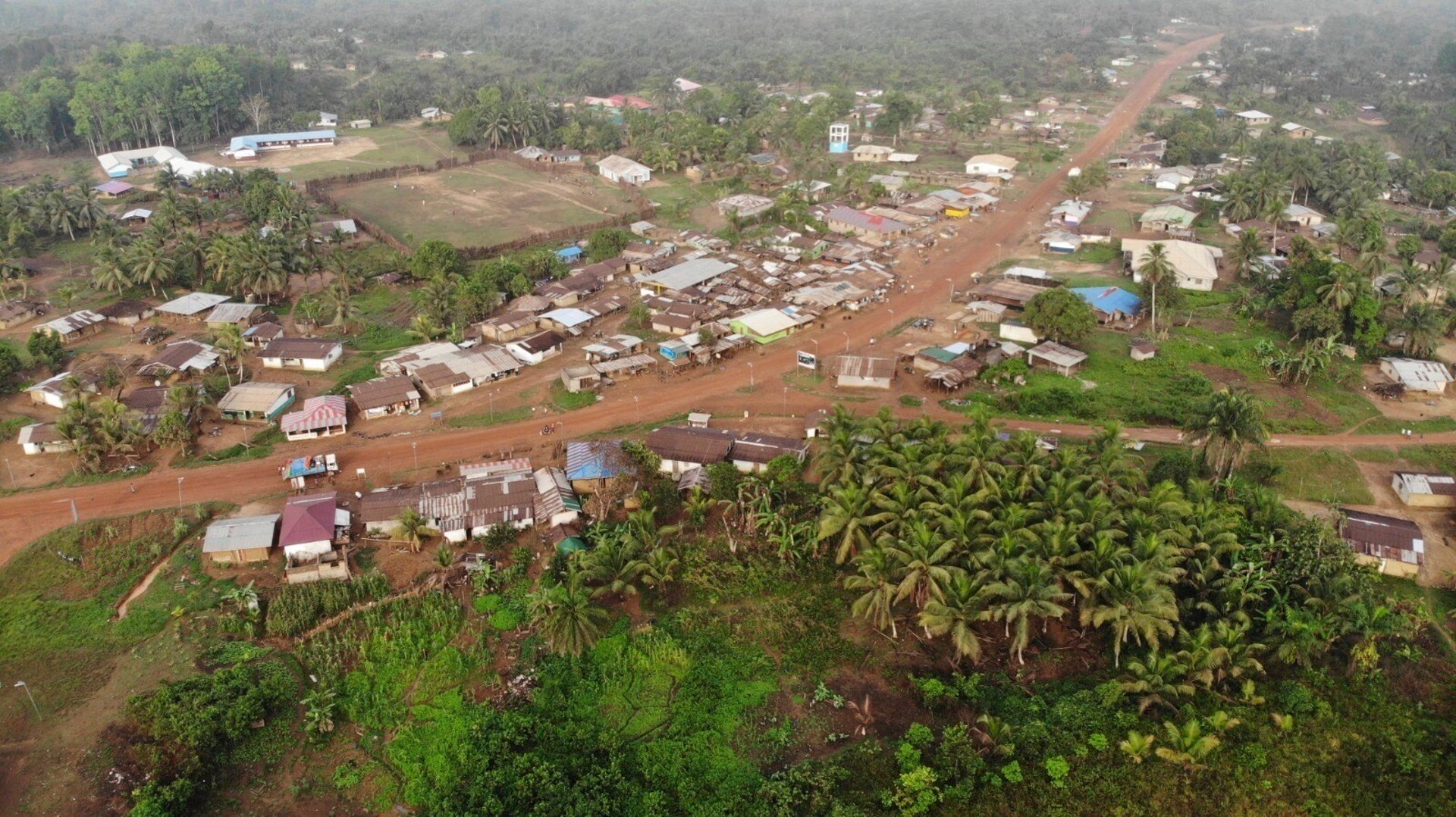 After Criticism: EU Postpones Deforestation