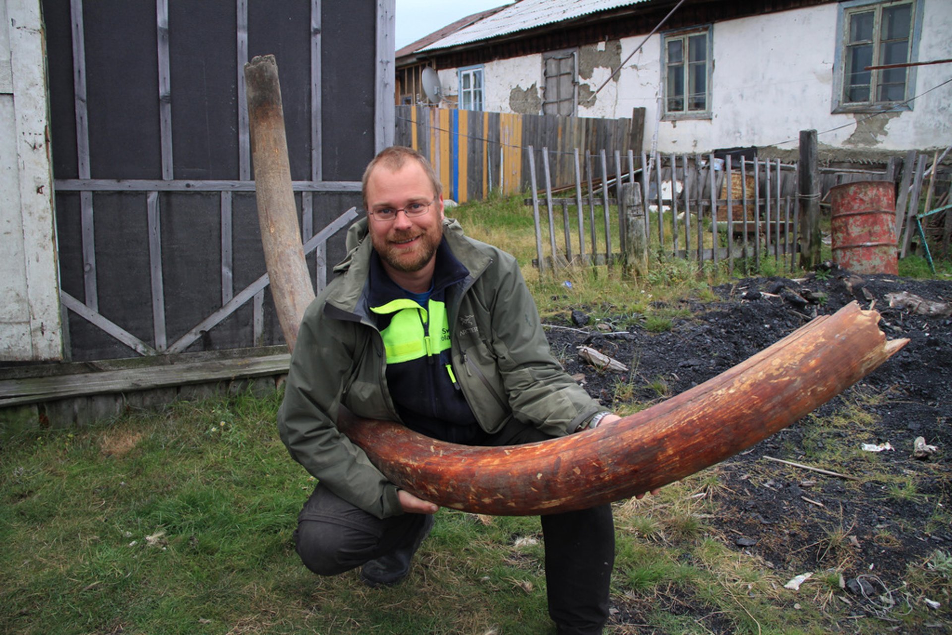 Mammoth discovery: "bad news for threatened species"