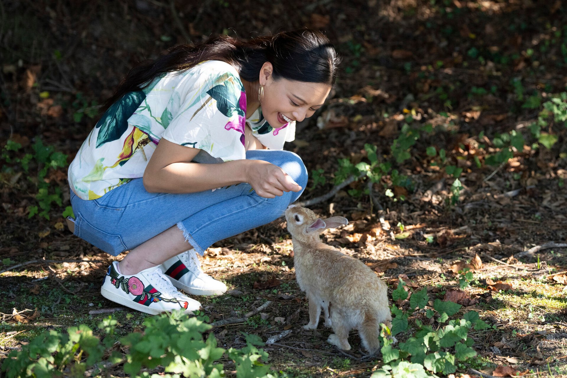 Man kicked rabbit - investigated for 77 deaths