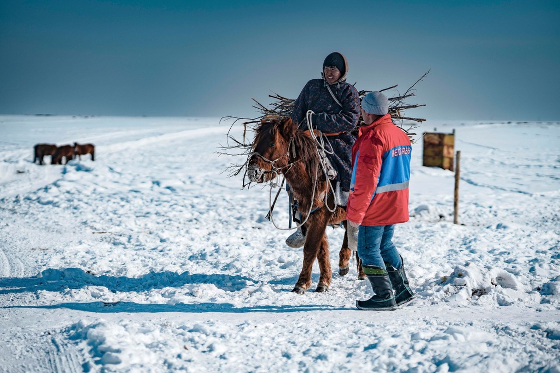 Millions of animals killed by extreme weather phenomenon