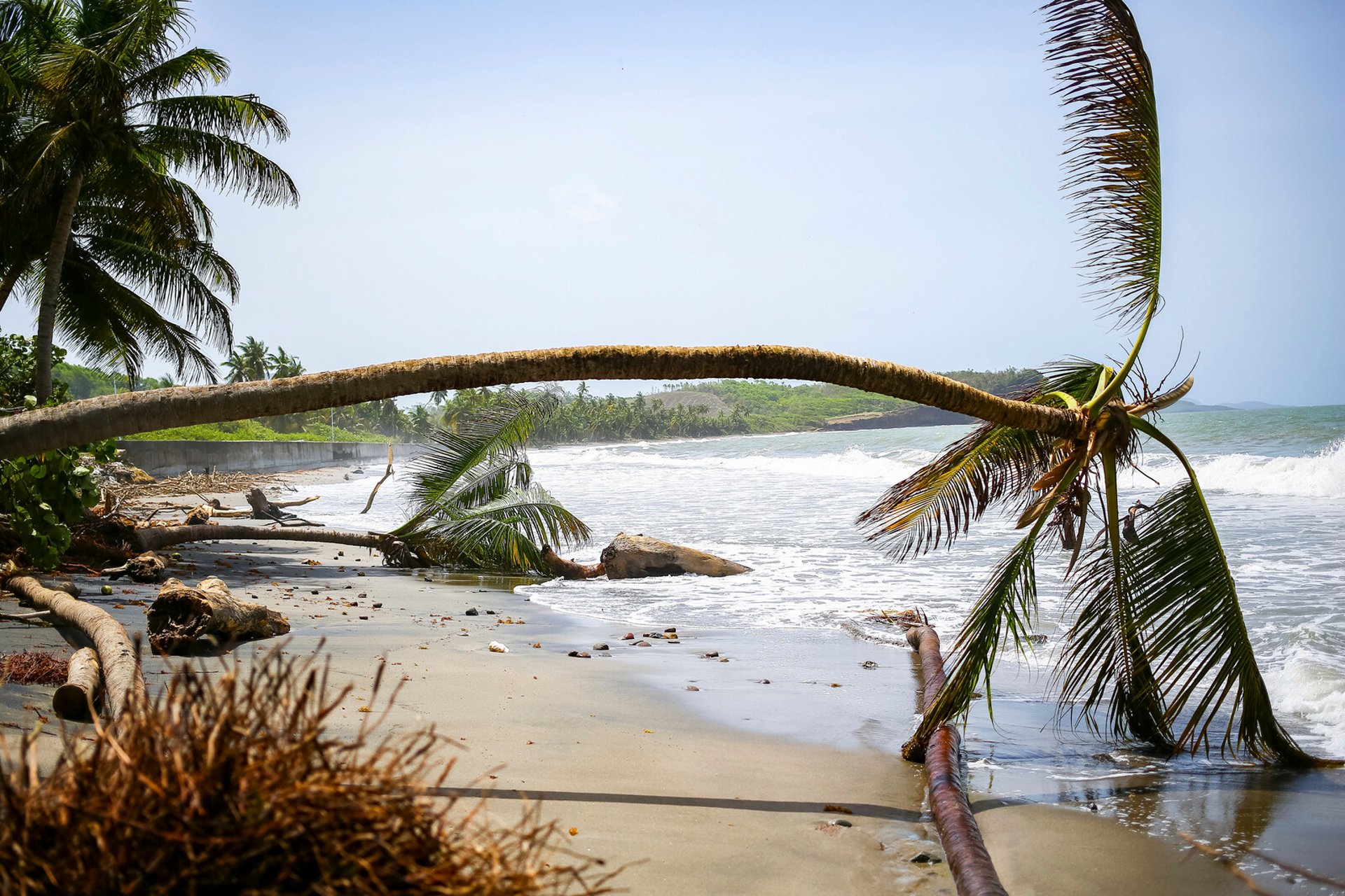 "My island has been destroyed