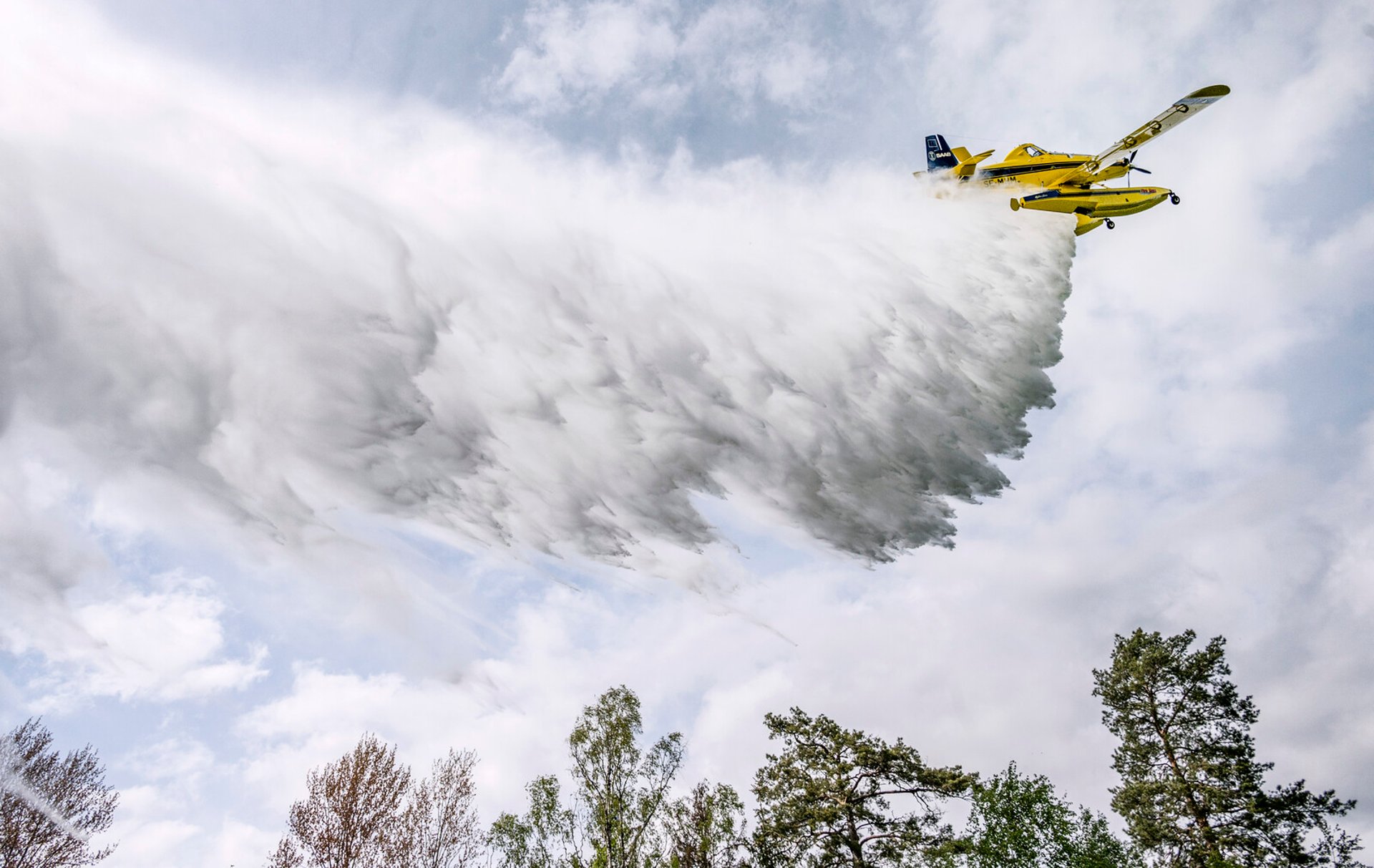 Water-bombed Threatened Birds – Fined