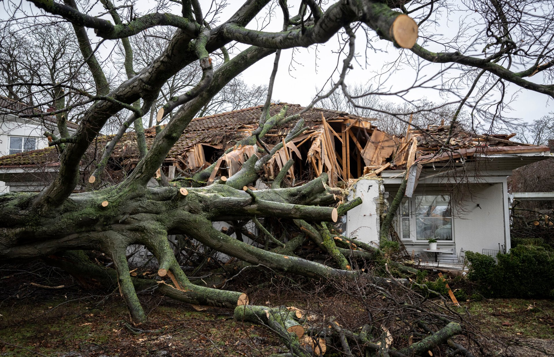 The Climate Behind Storm Damage: