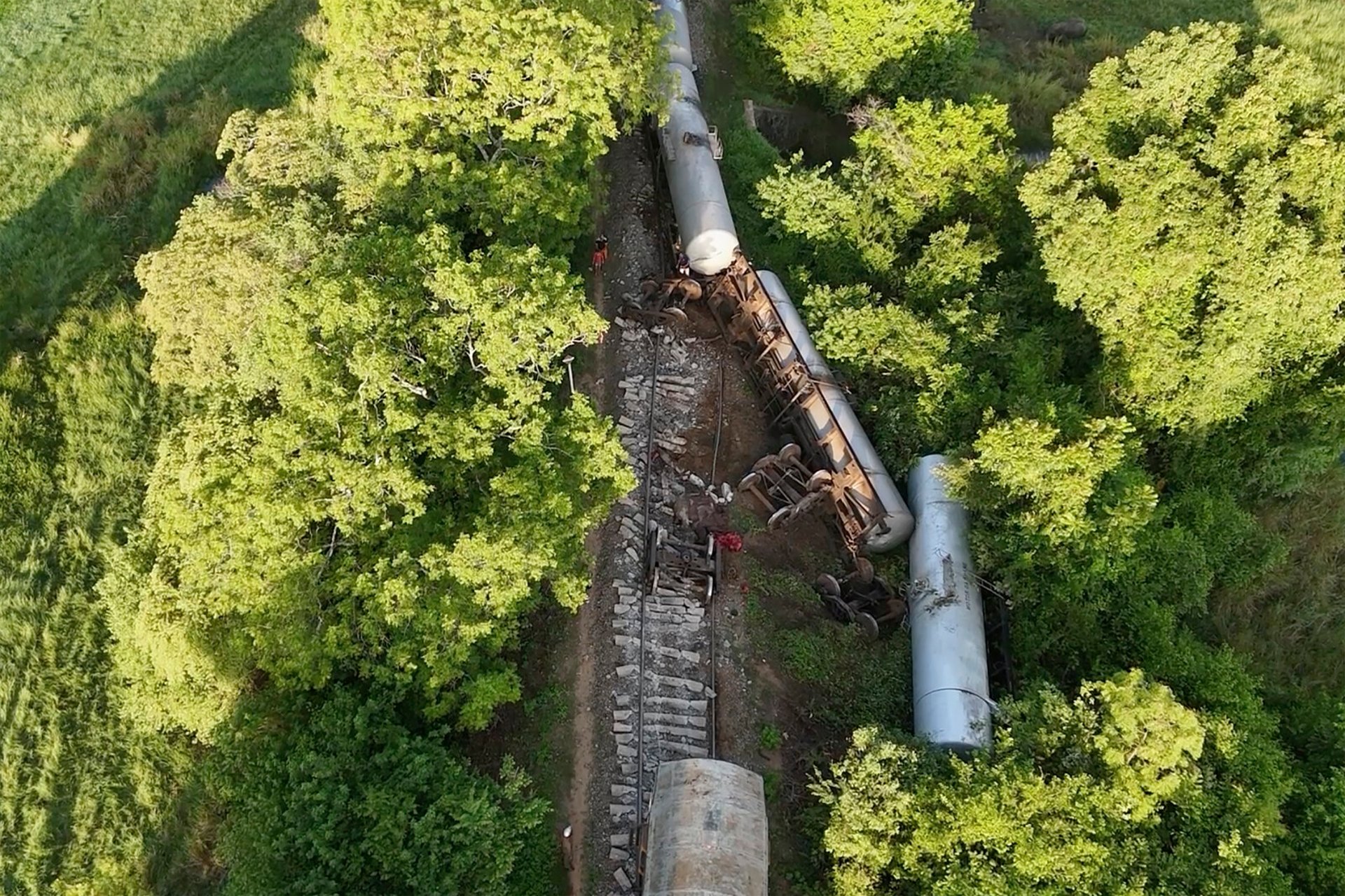 Elephants killed - hit by train