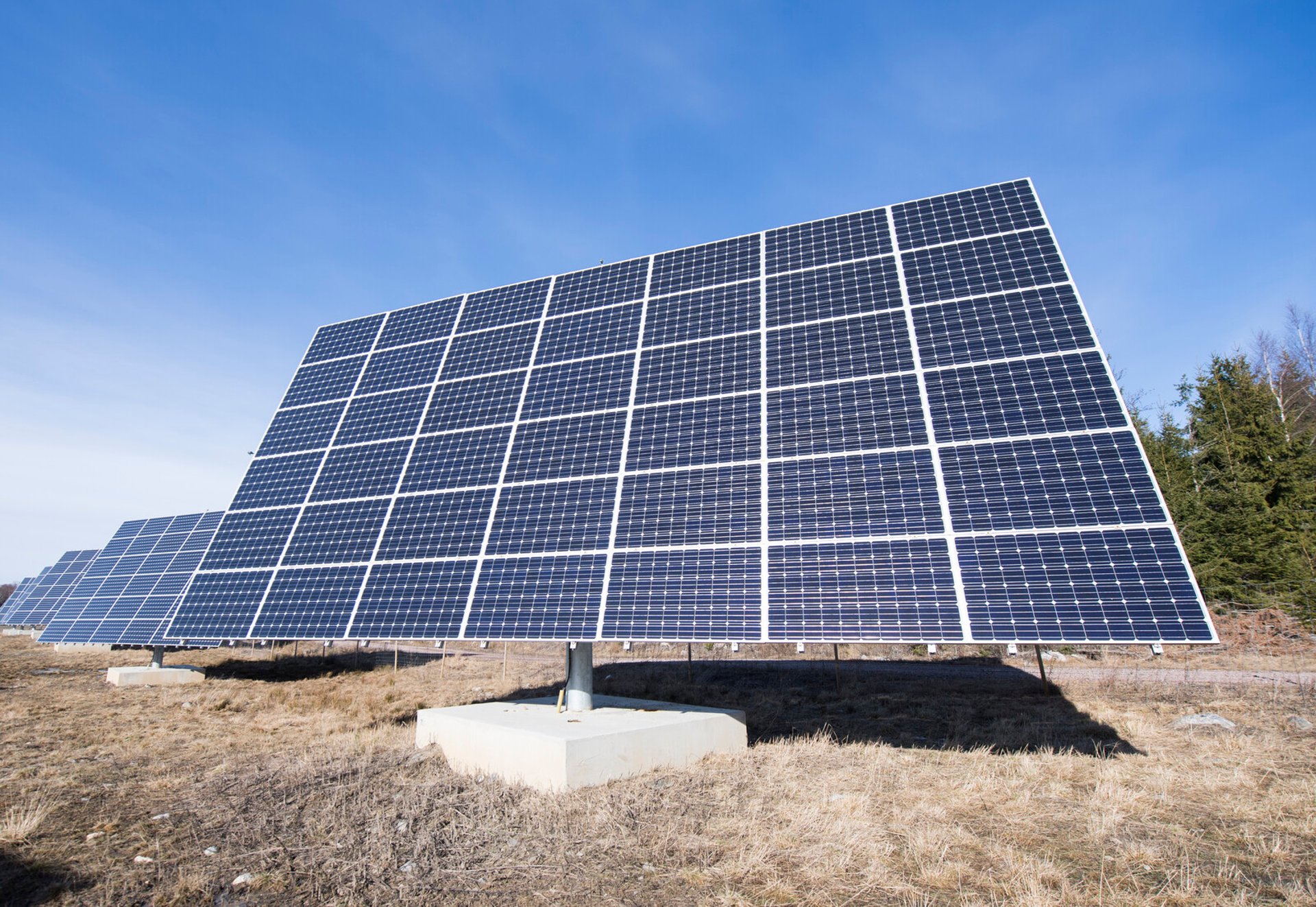 Solar parks on the rise – despite low electricity prices