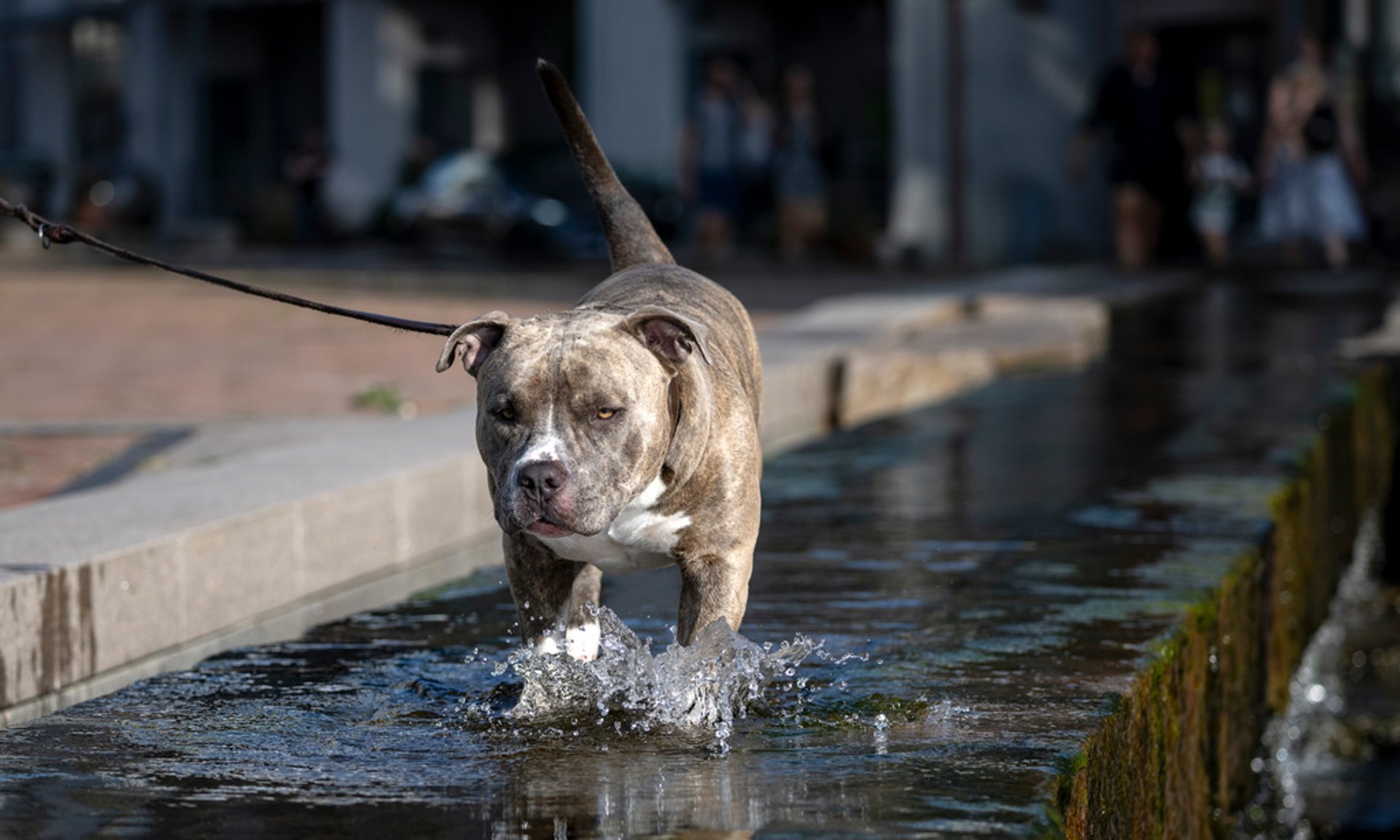 The record heat wave is shared between two cities