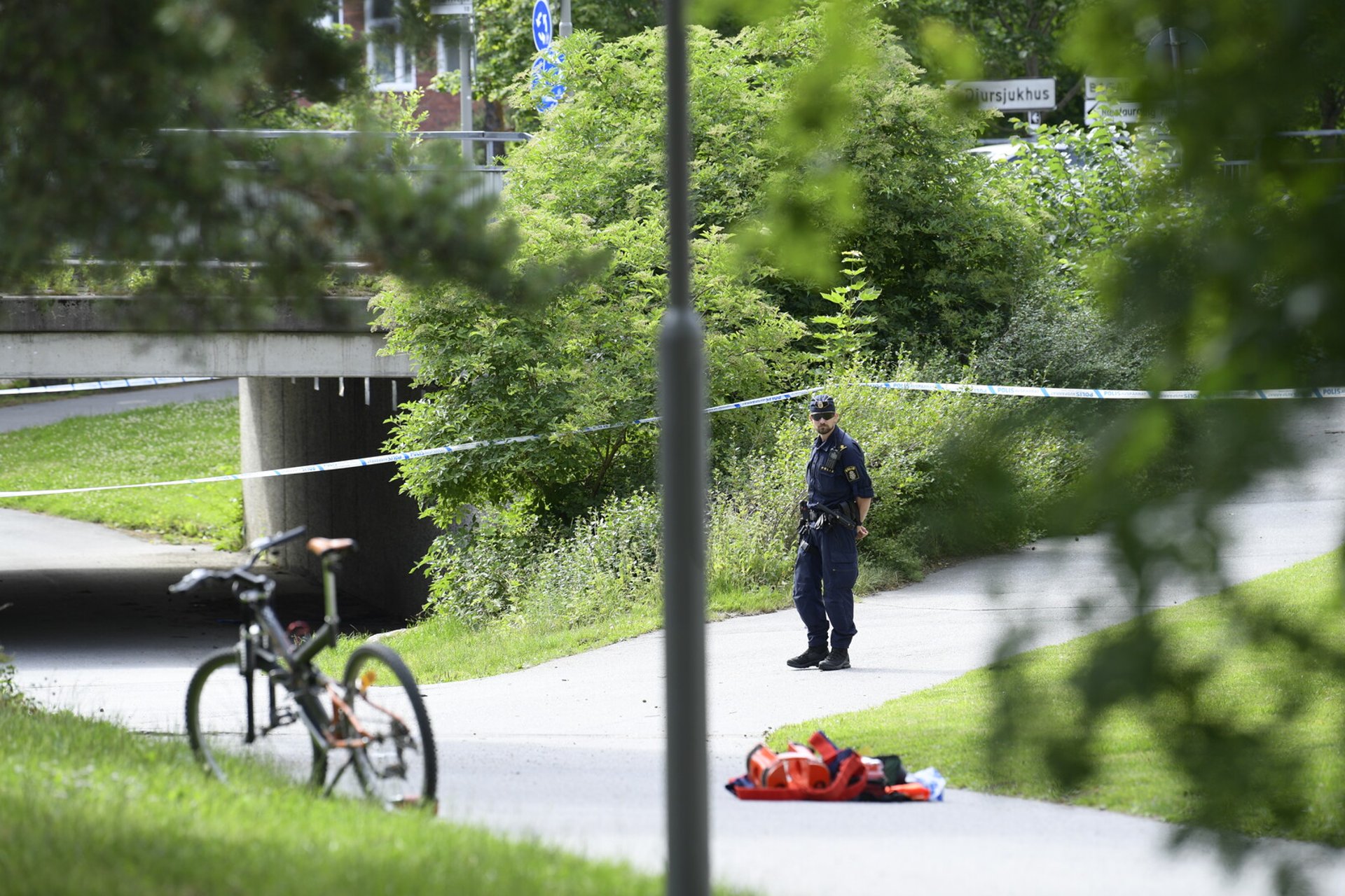 Two charged with murder of 16-year-old in Stockholm