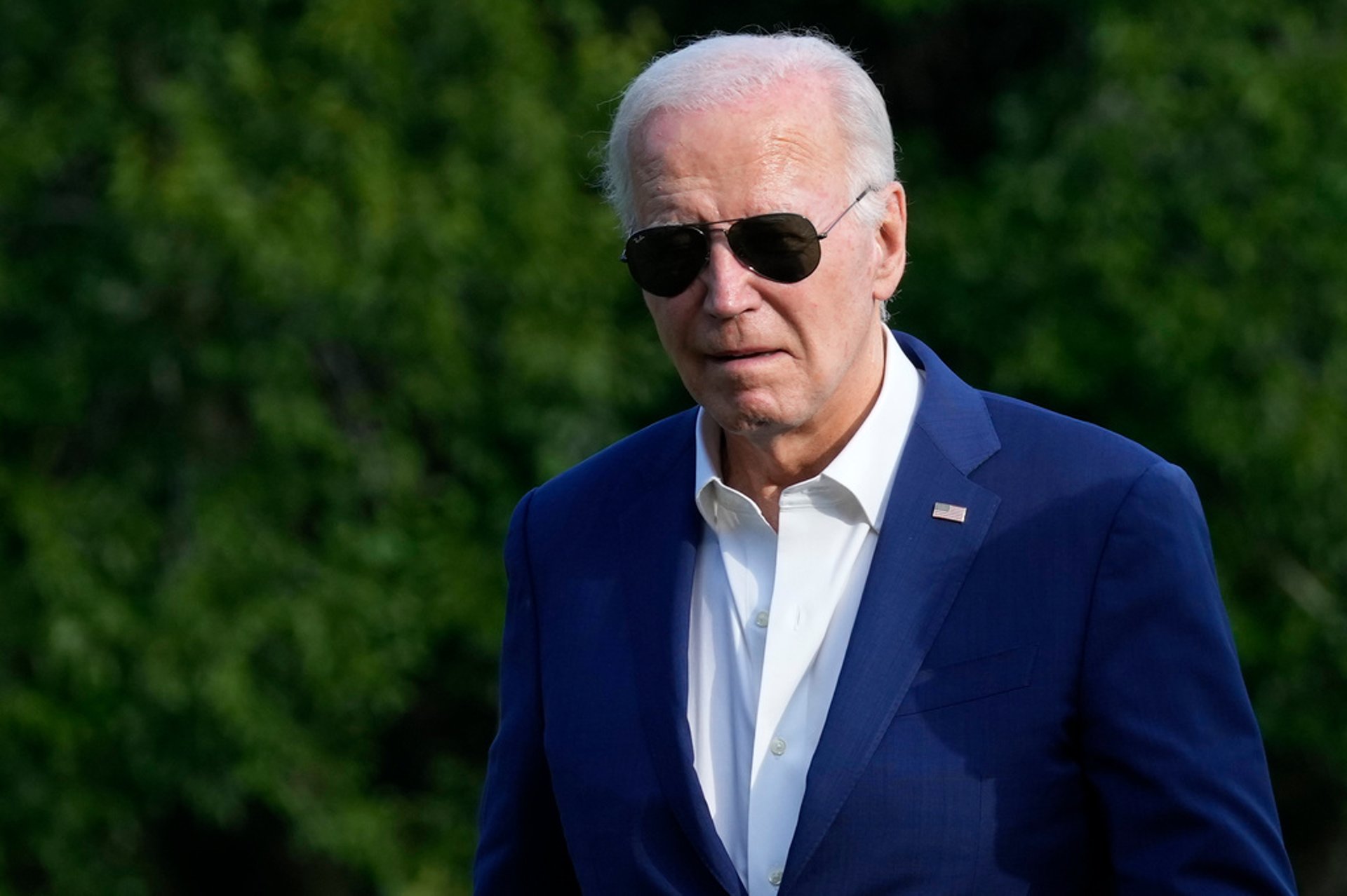 Biden appeals for full support from the Democrats