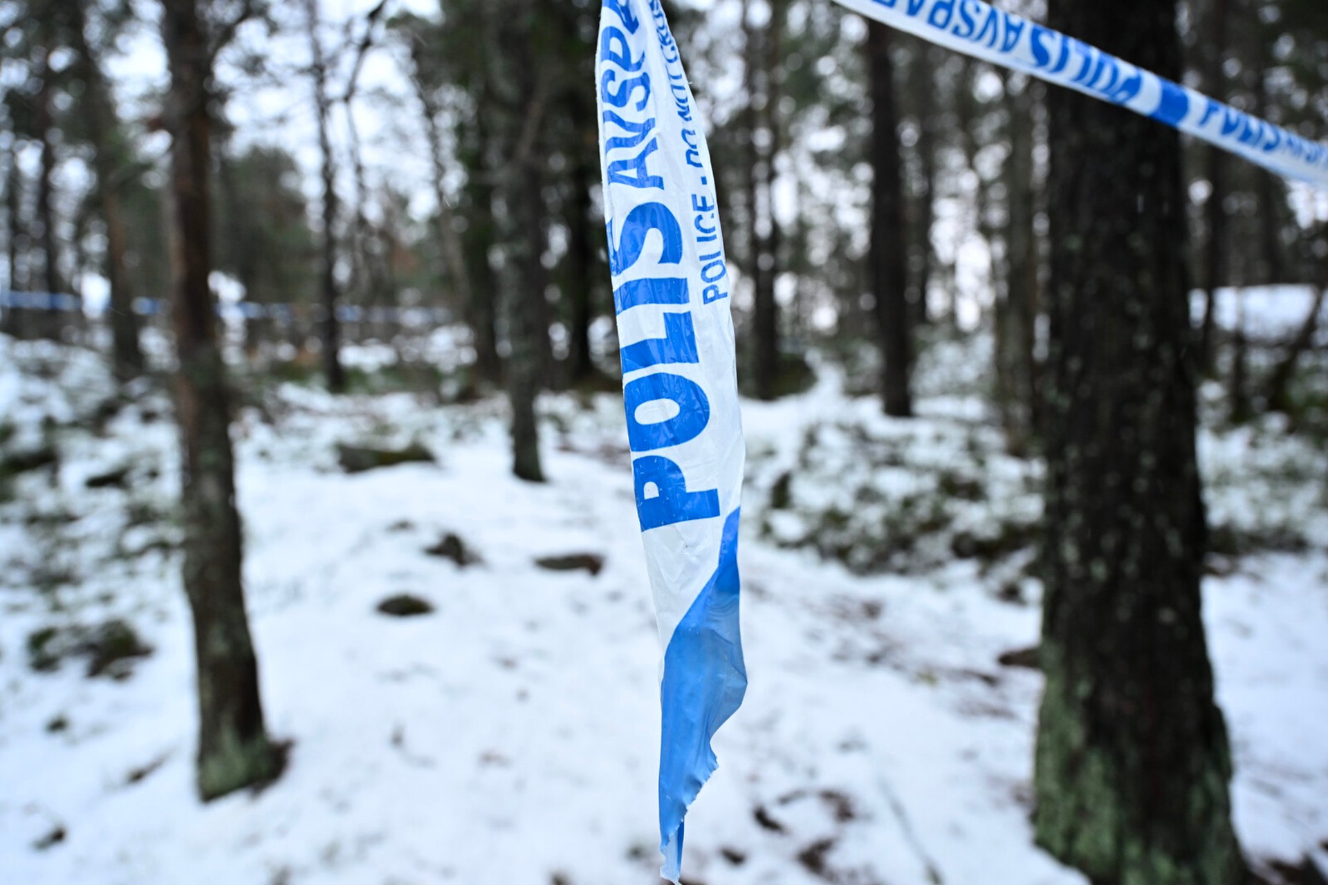 Man arrested for double murder in Piteå