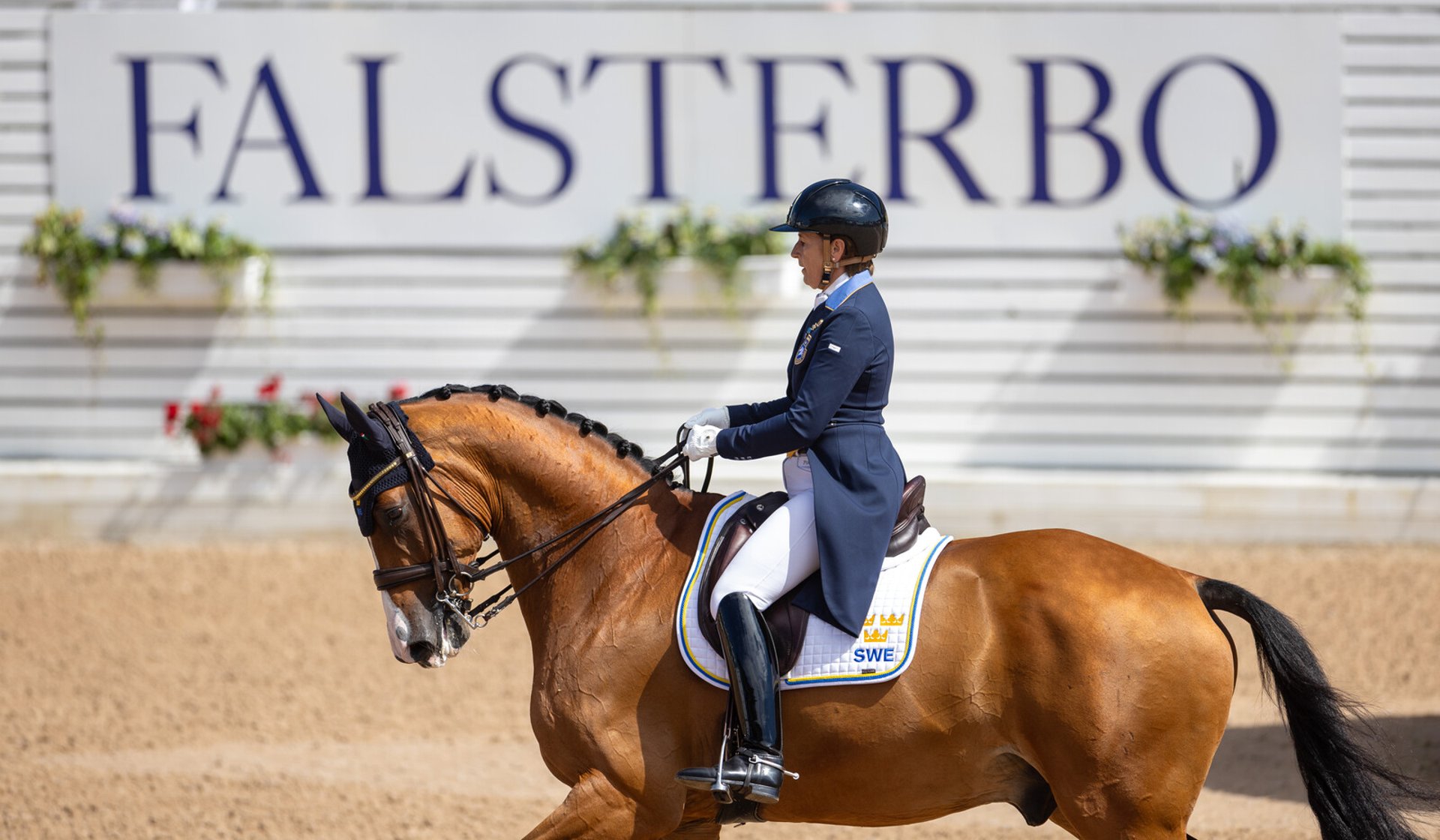 Falsterbo Horse Show Faces Backlash Over UAE Sponsorship Deal