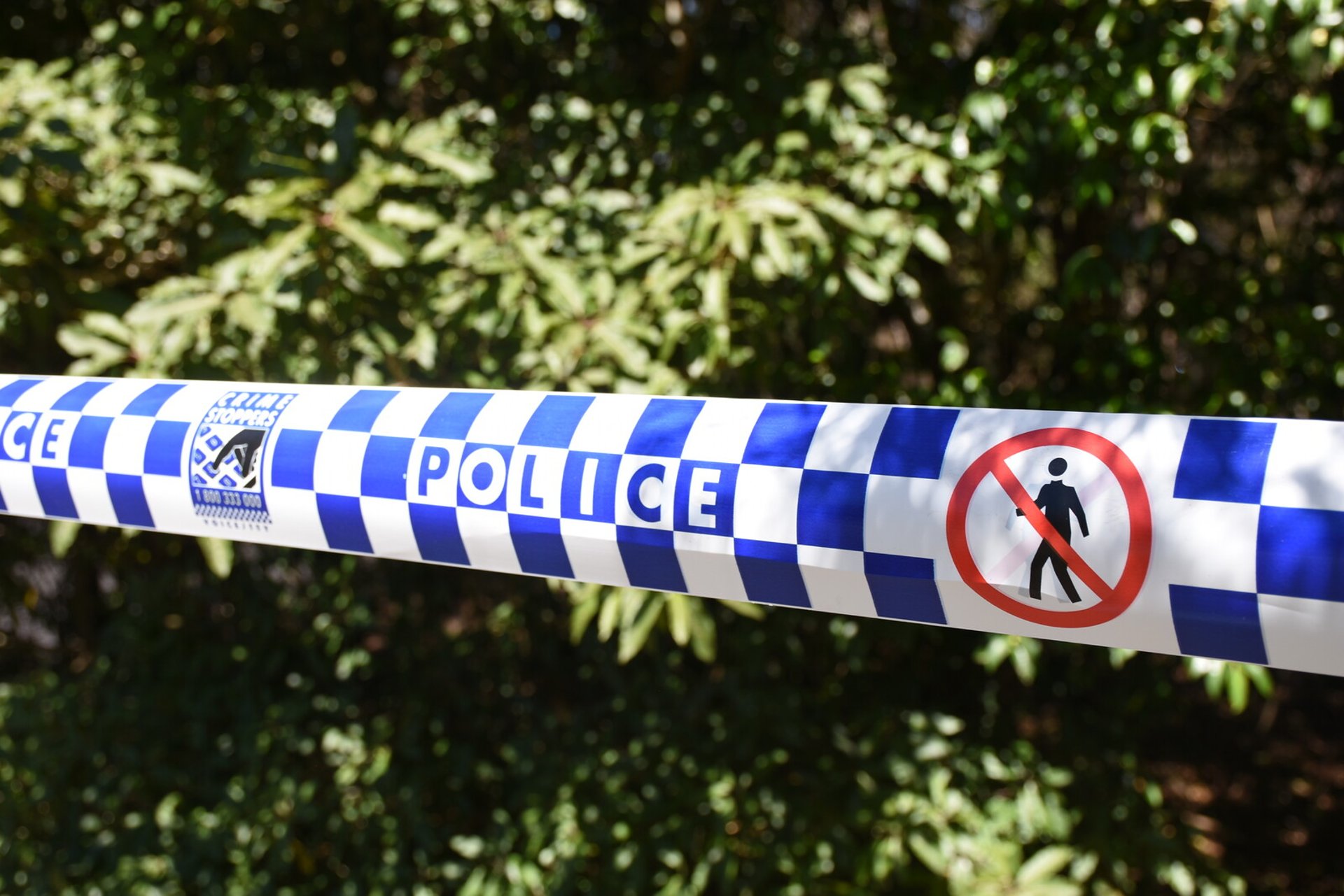 Military Practice Torpedo Found on Tourist Beach