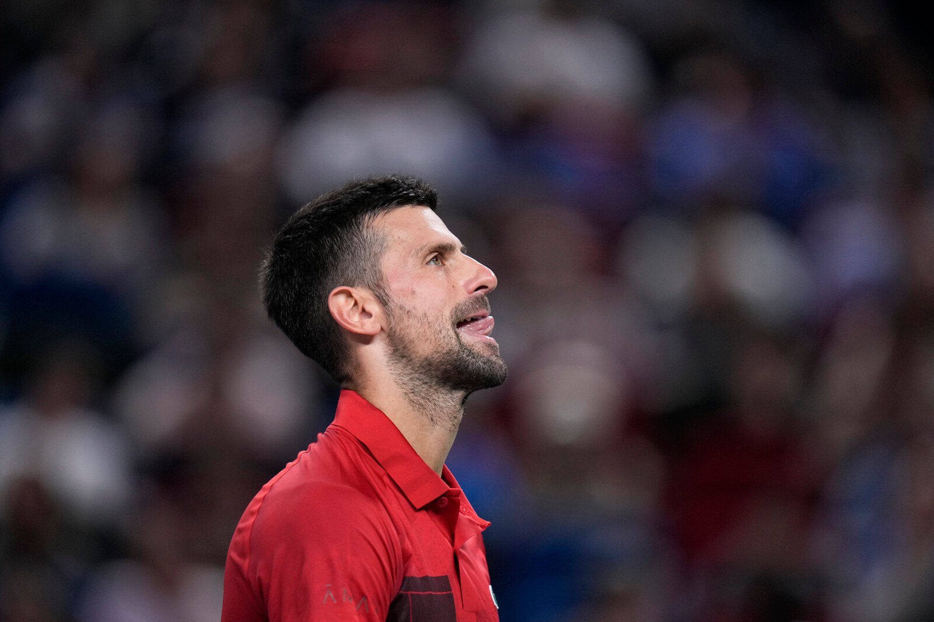 Injured Djokovic to miss ATP tour final in Turin